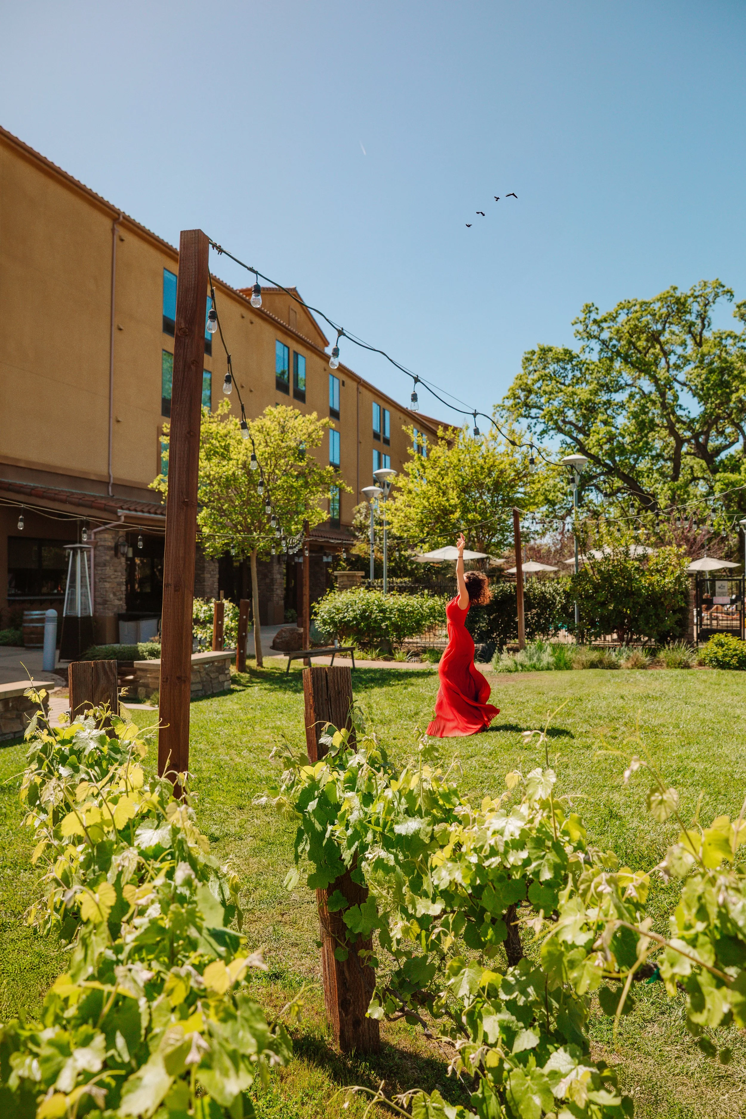 6V2A2052 copy_Afterlight.JPG