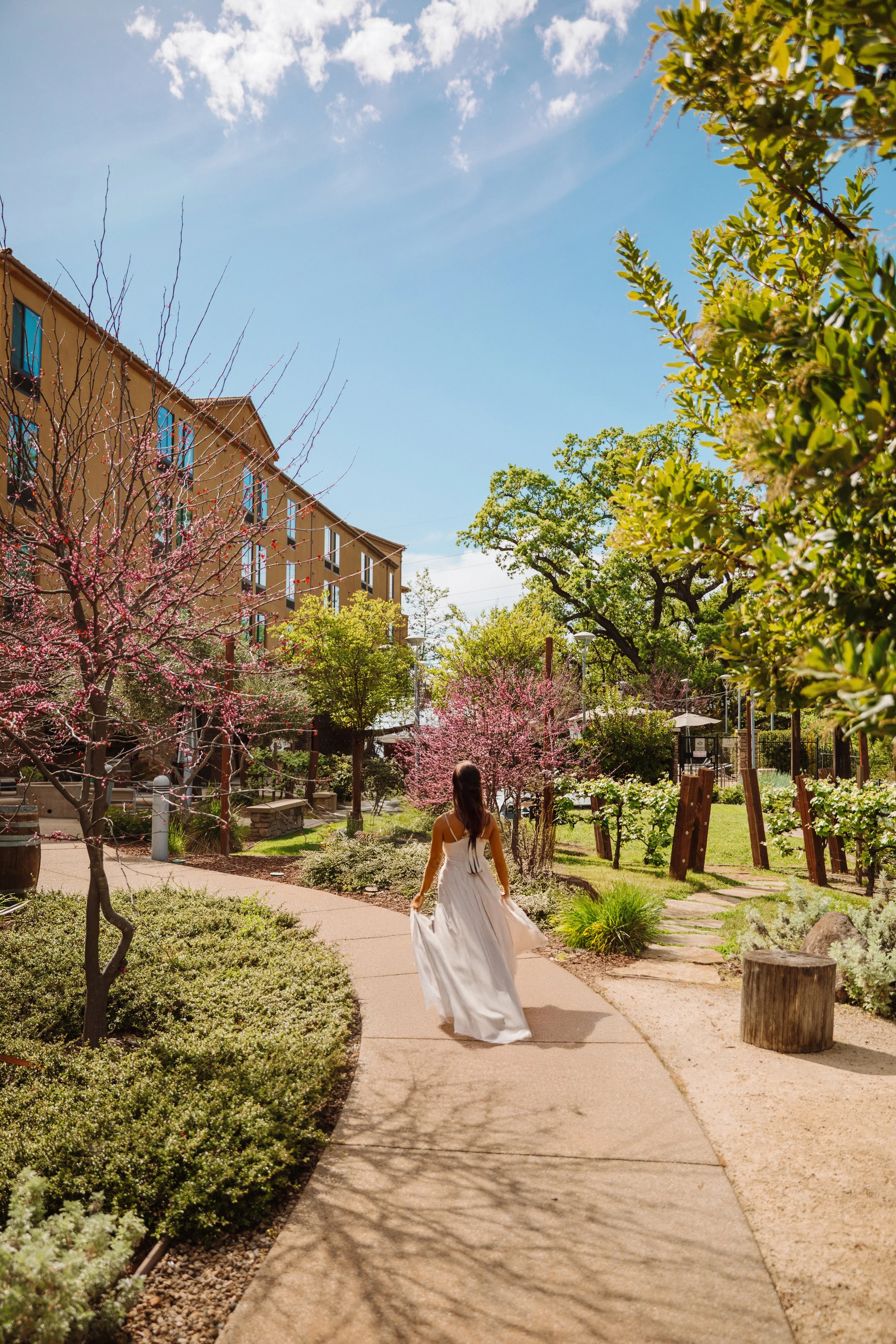 6V2A1505 copy 2_Afterlight.JPG