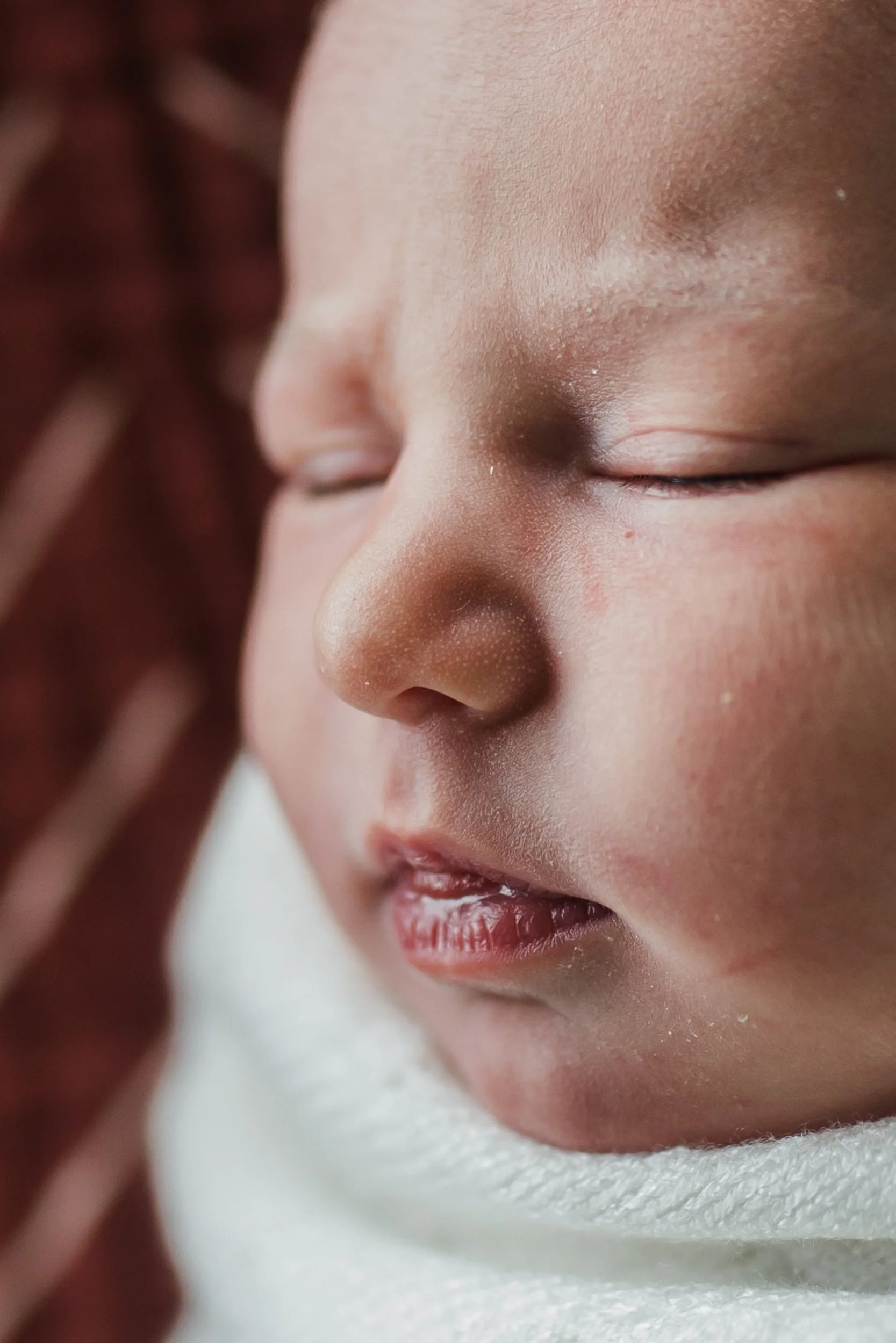 Navy Elaine Fresh48-010.jpg