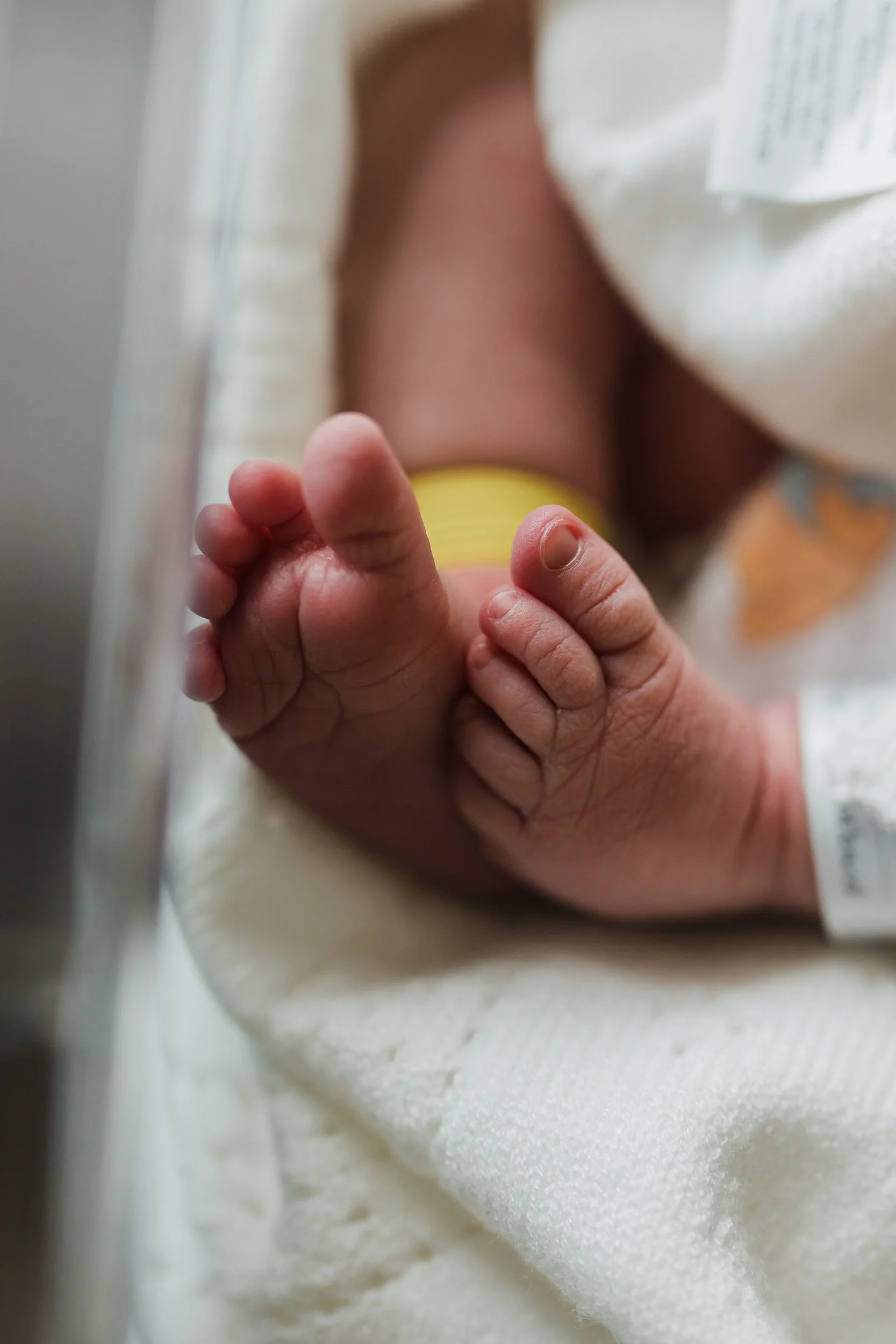 Navy Elaine Fresh48-030.jpg