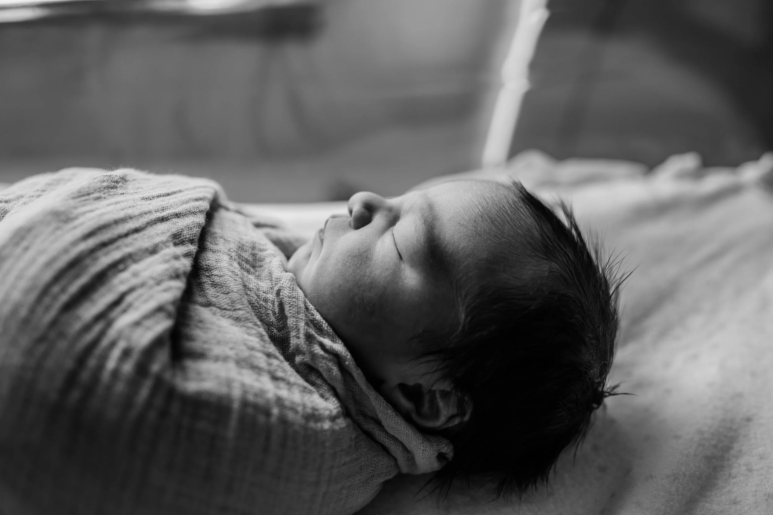 Ben Fresh48-107-2.jpg