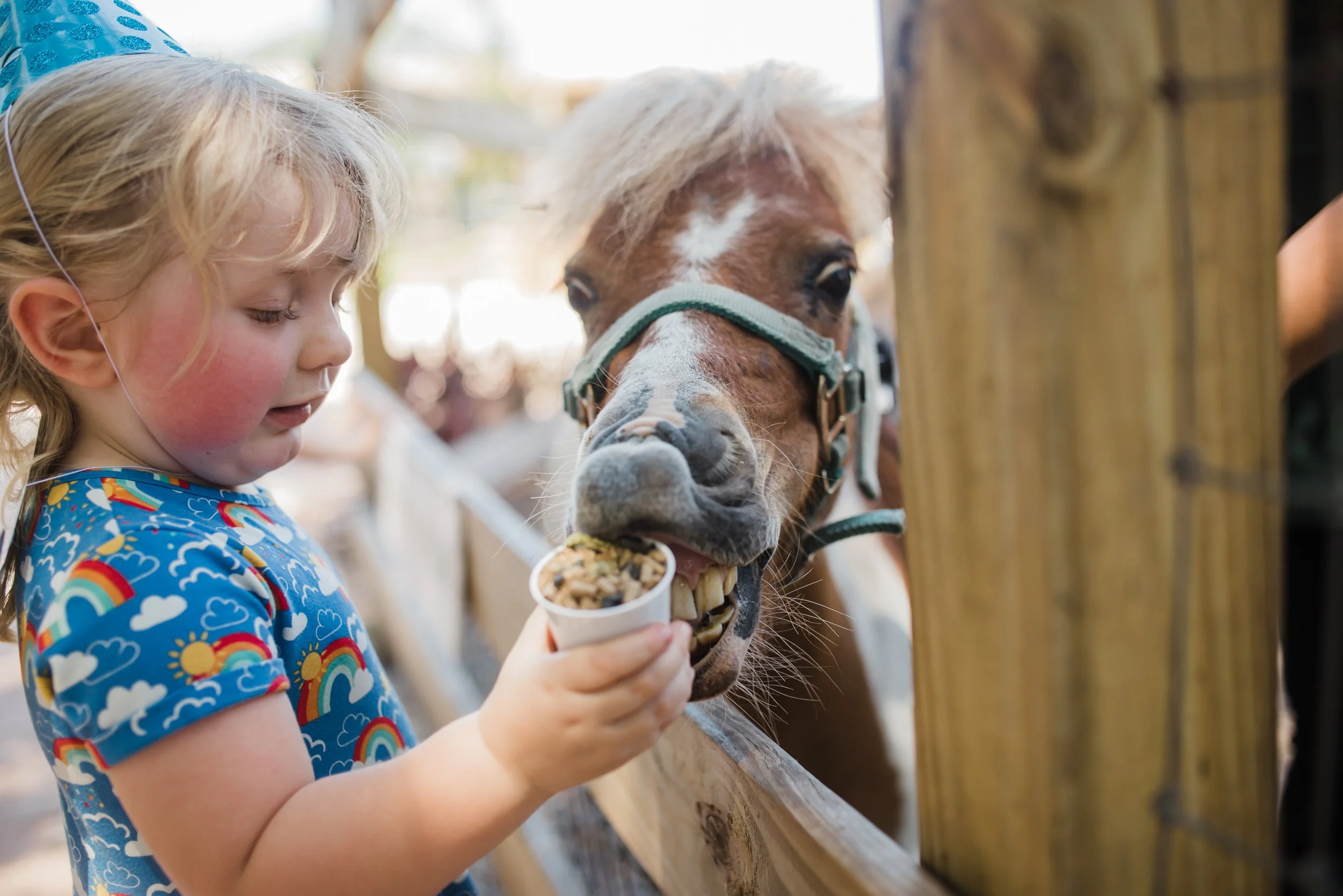 Margot Turns 2-070.jpg