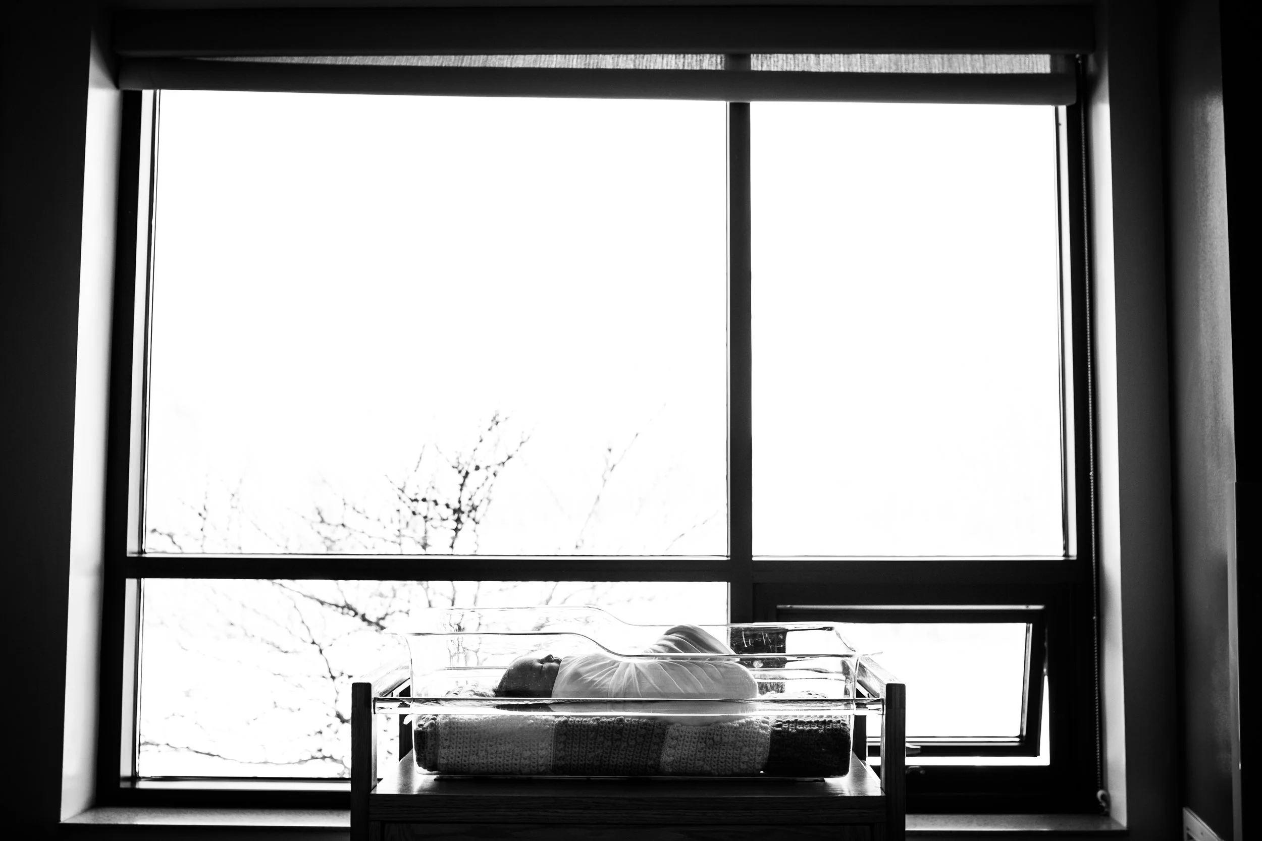 Adeline Marie Fresh48-078.jpg