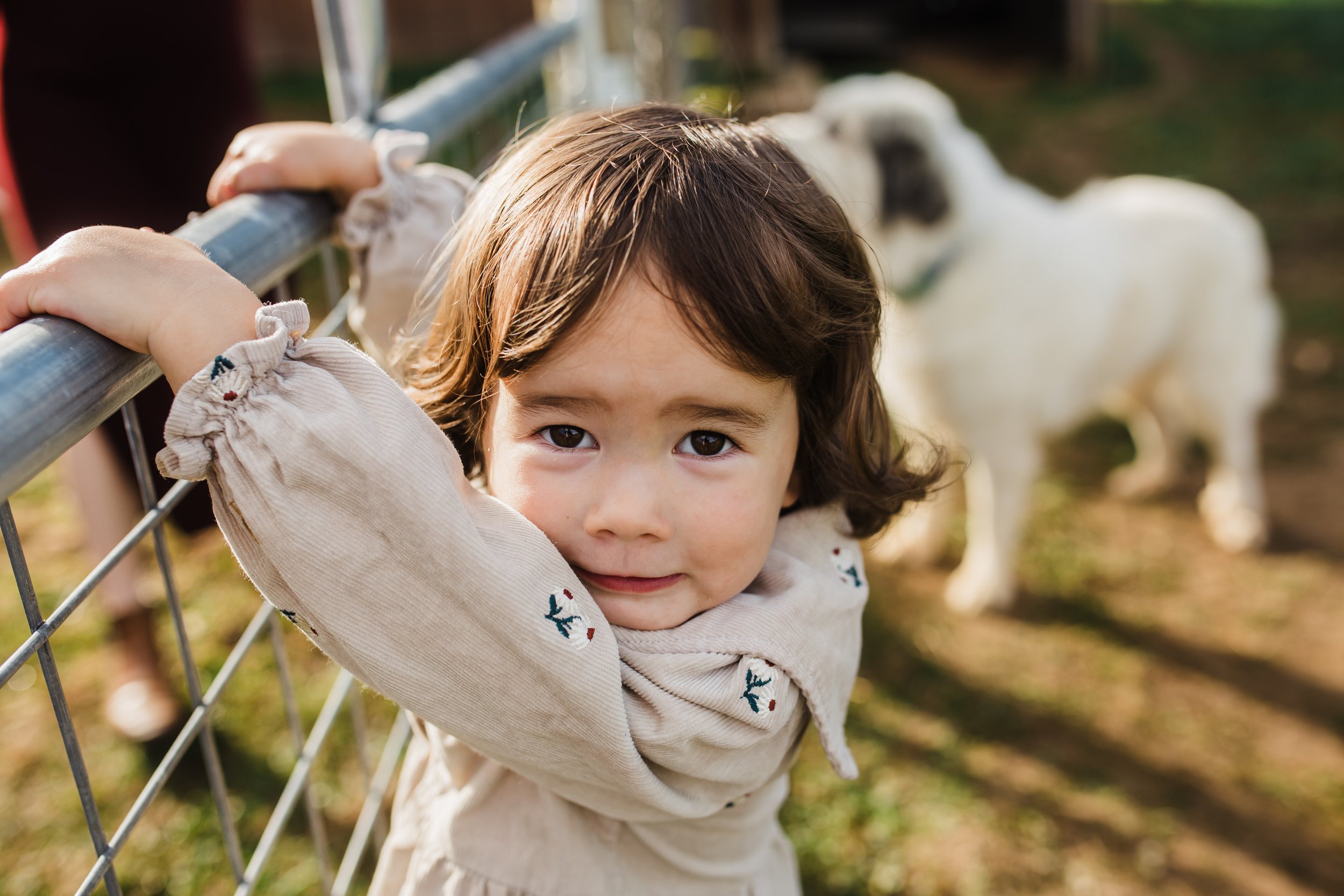 Whittemore Family 2025-039.jpg