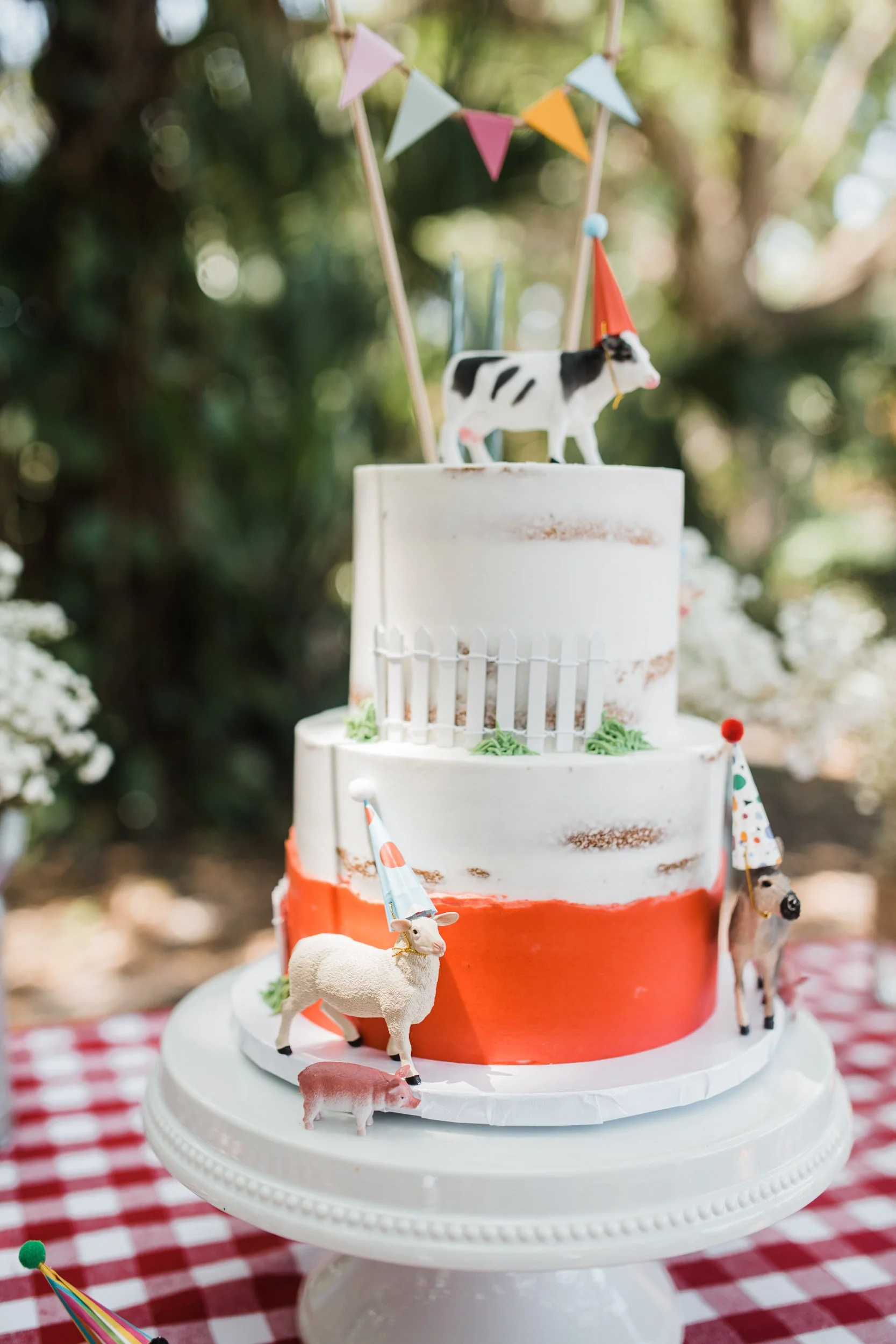 Margot Turns 2-111.jpg