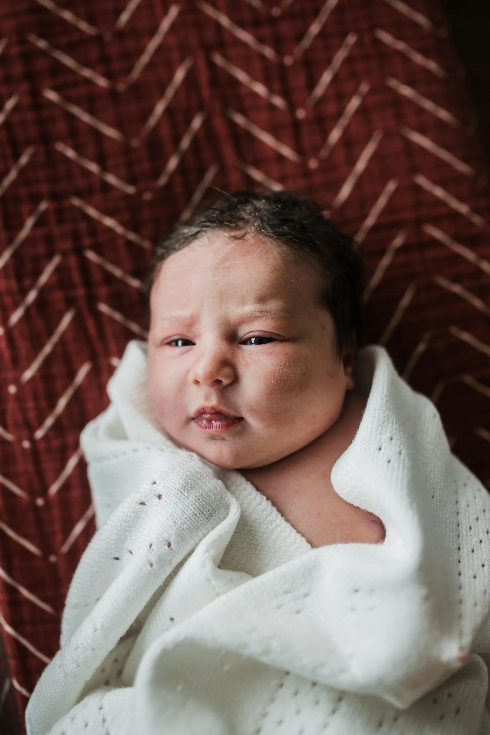 Navy Elaine Fresh48-029.jpg