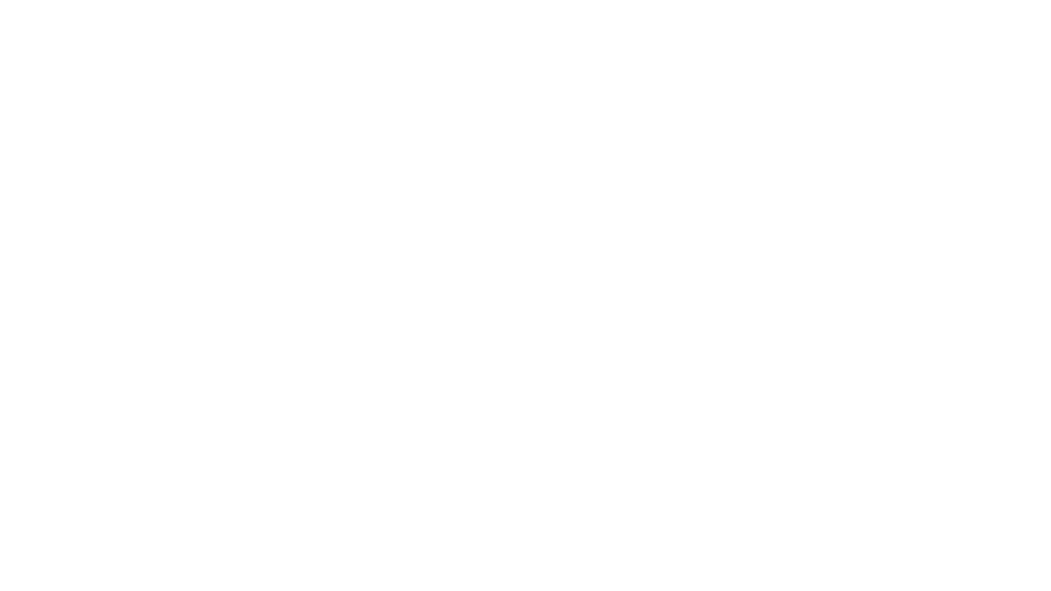 THE GENEVA PROJECT