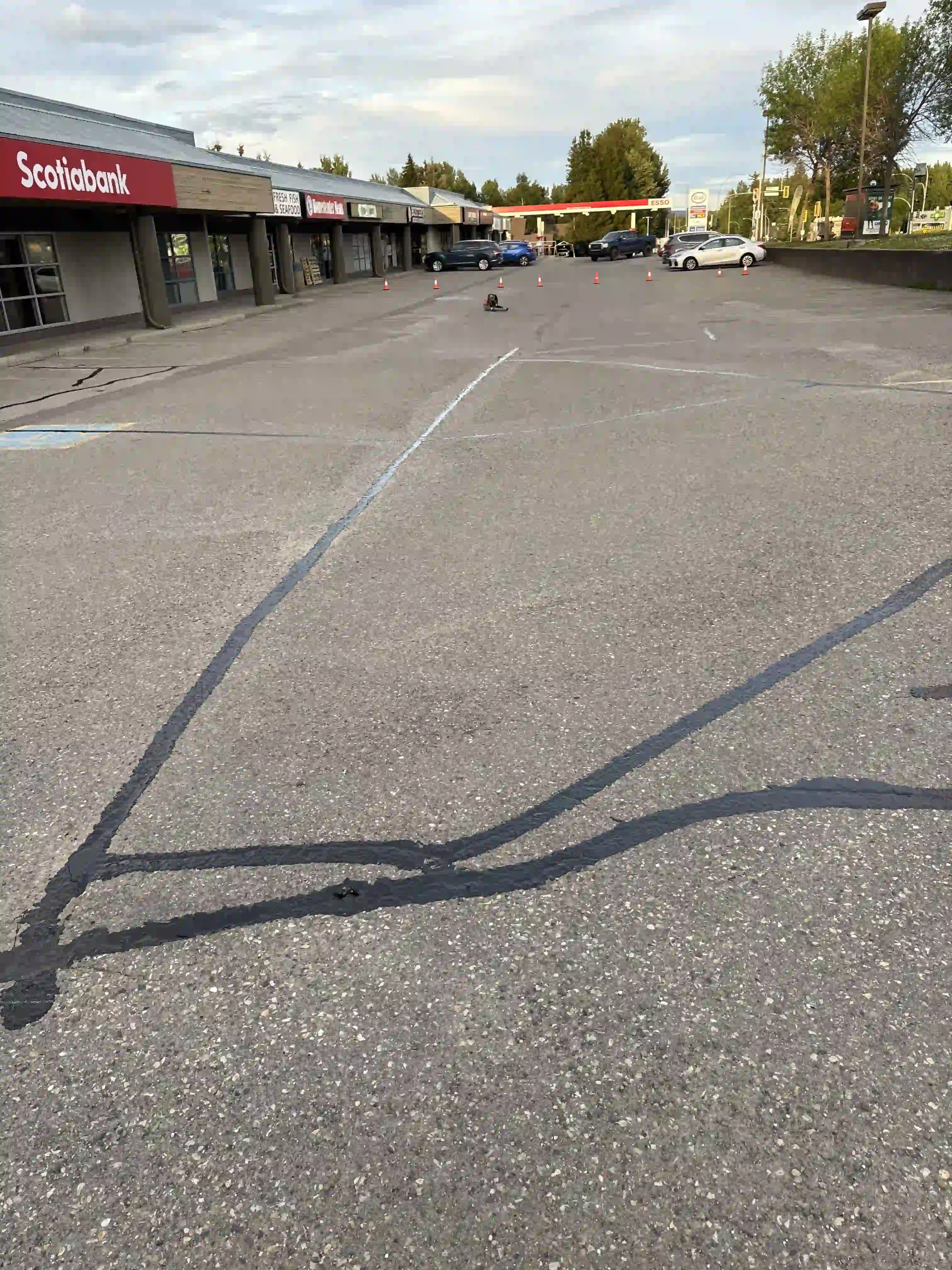 Freshly sealed cracks in a commercial plaza parking lot following professional asphalt repair and crack filling services by Epic Pavement.
