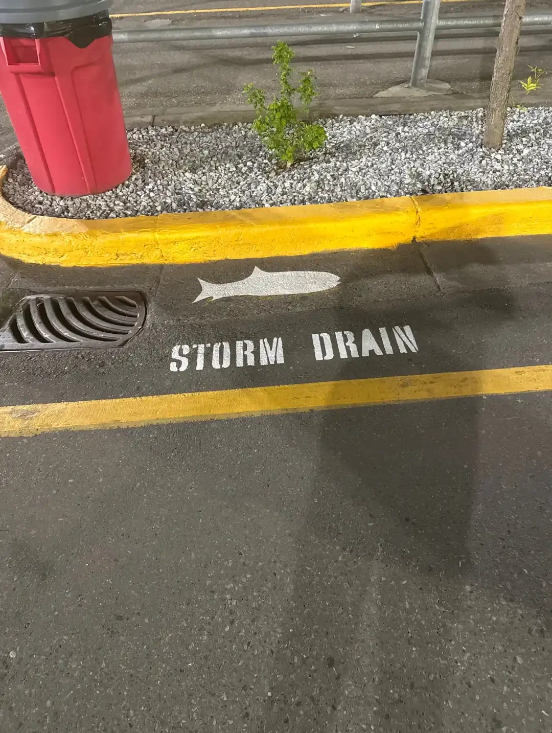 Parking lot line painting with custom parking layout at commercial property - Epic Pavement