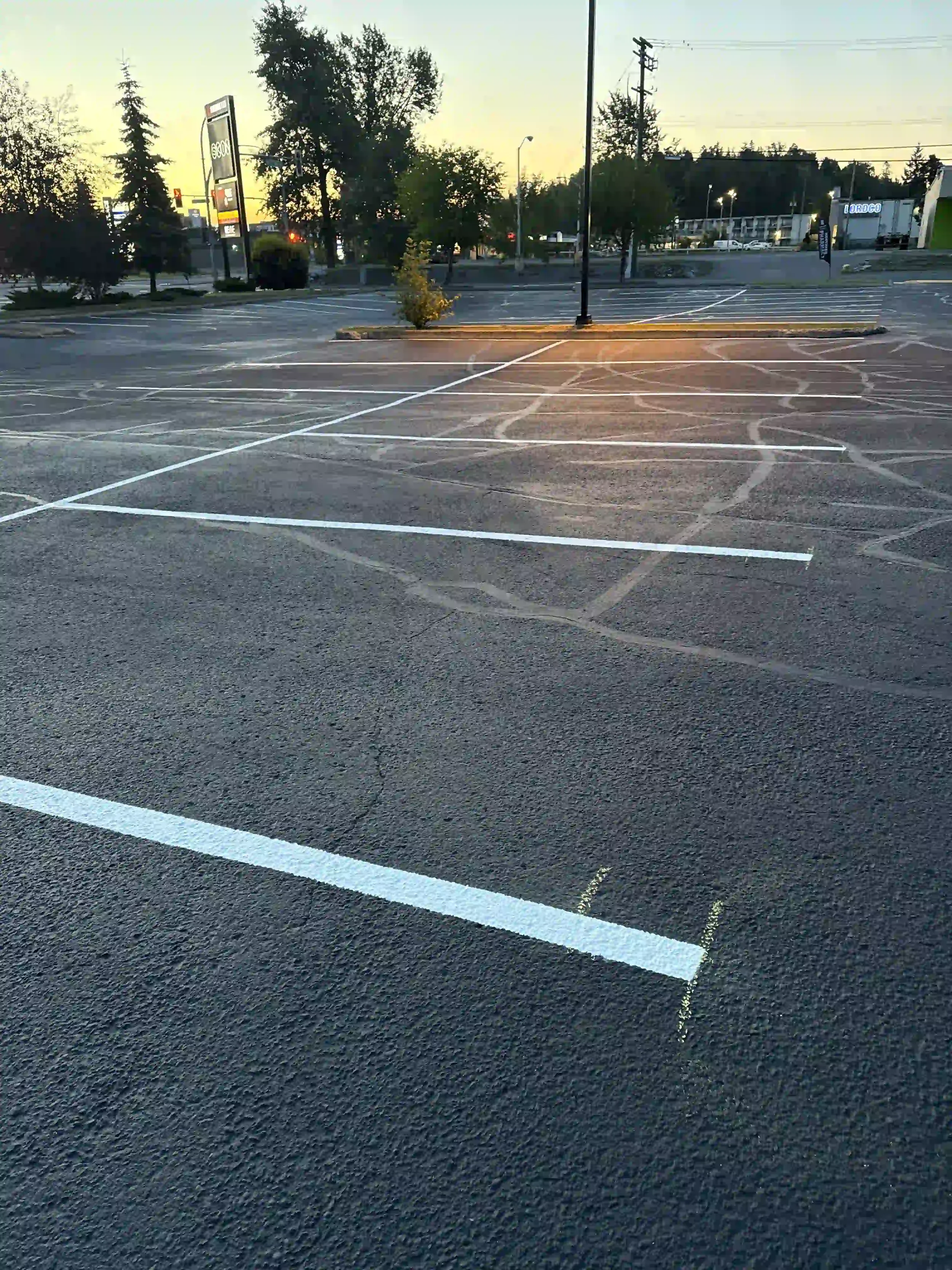 Freshly painted white parking stall lines in a large commercial parking lot at sunset in Grande Prairie, AB.