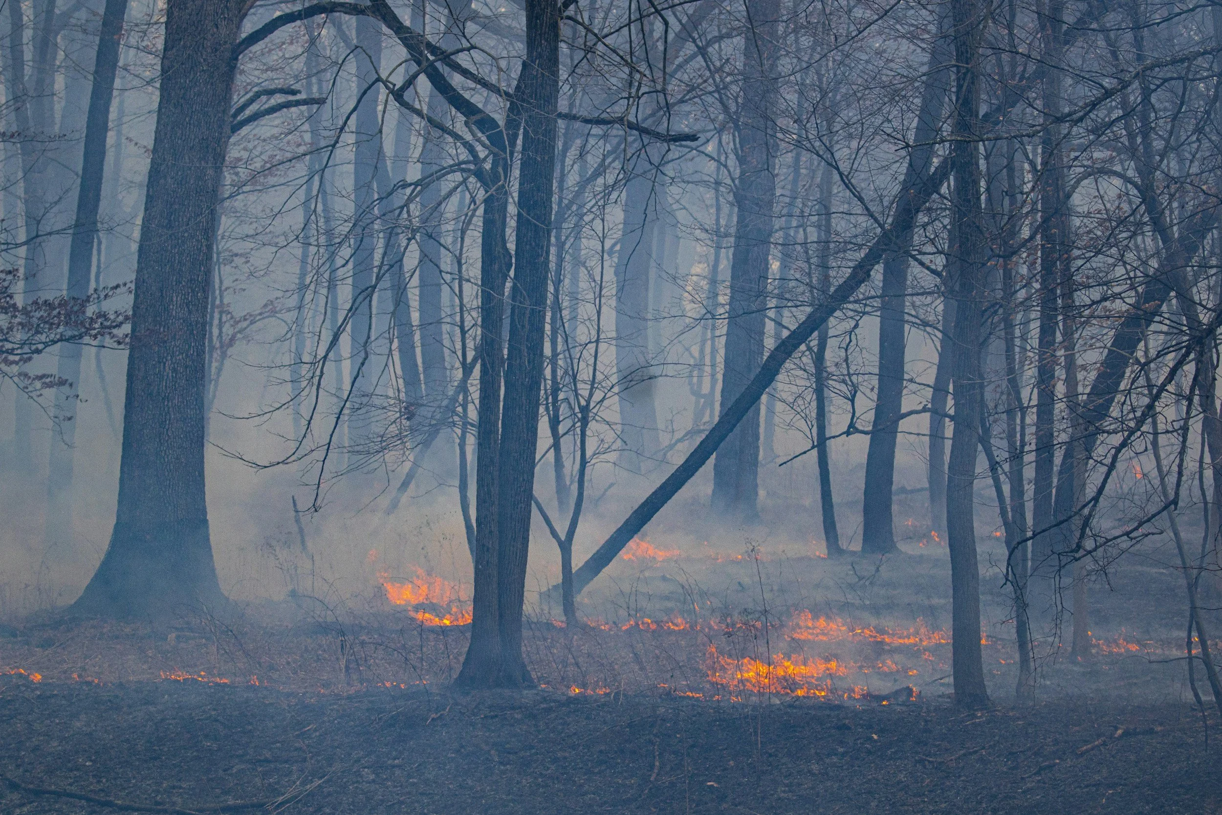 When Passion Becomes the Justification for Burnout, You've Lost the Mission
