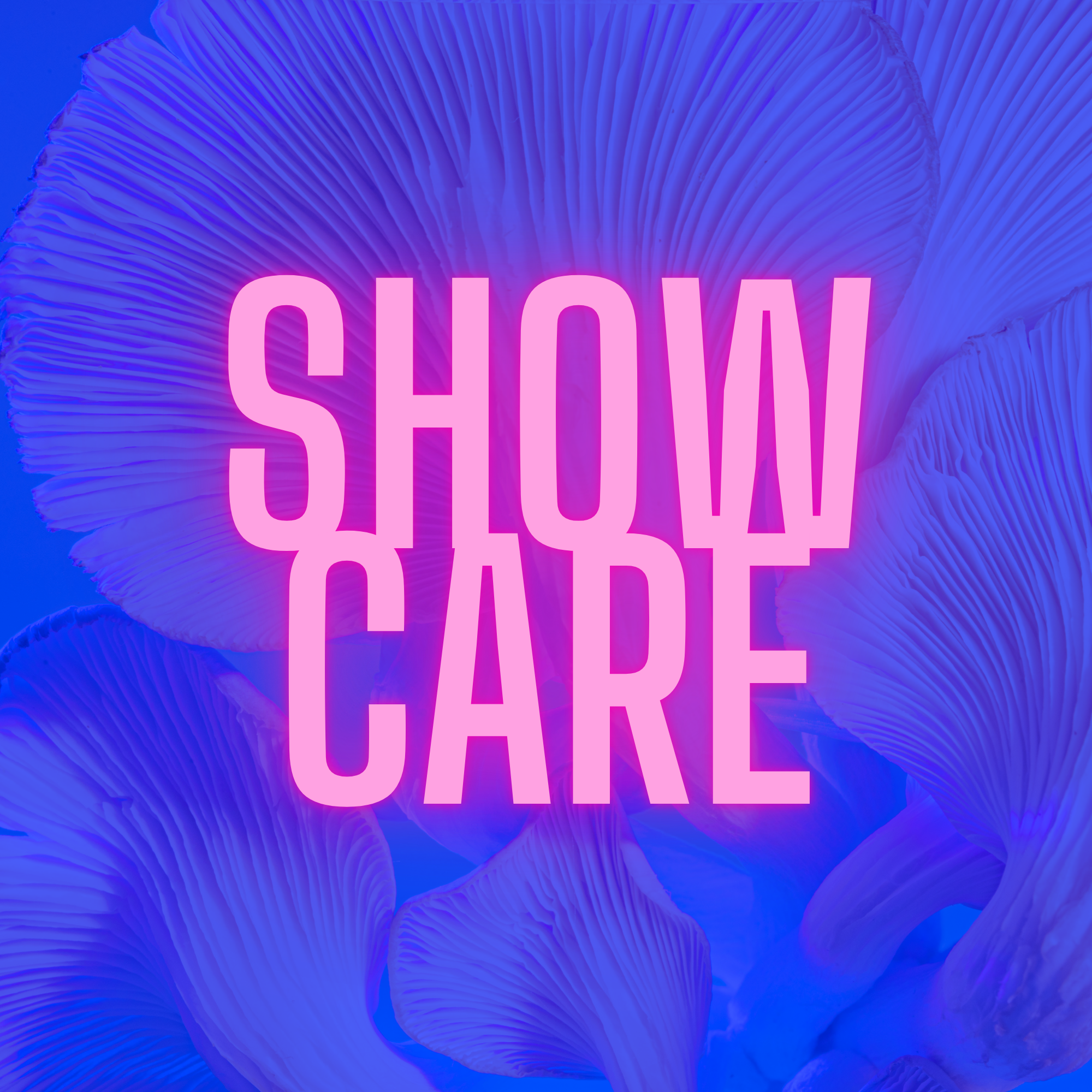 Care as Strategy:  How Meta Can Reverse Its Morale Crisis