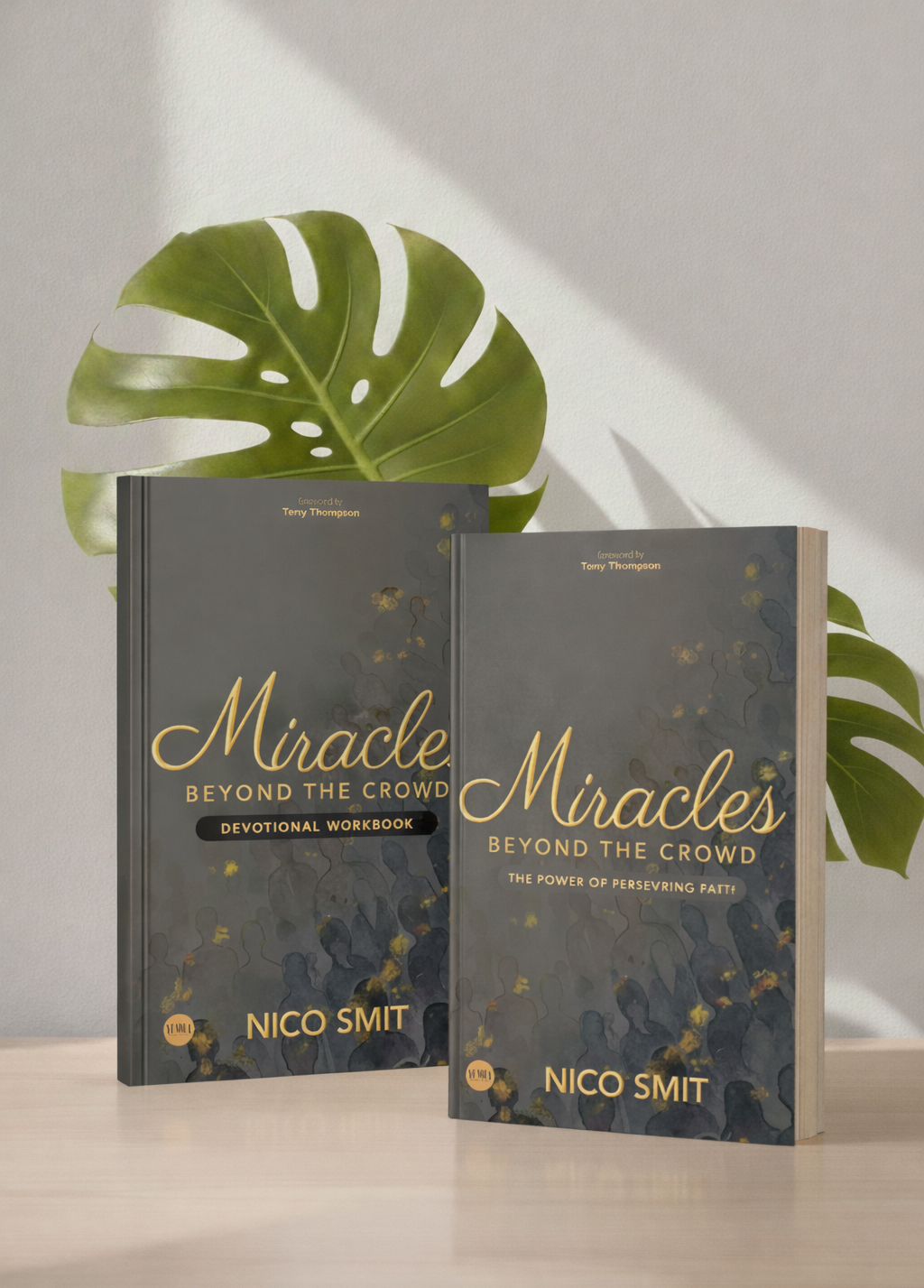 Miracles Beyond The Crowd Book + Devotional BUNDLE