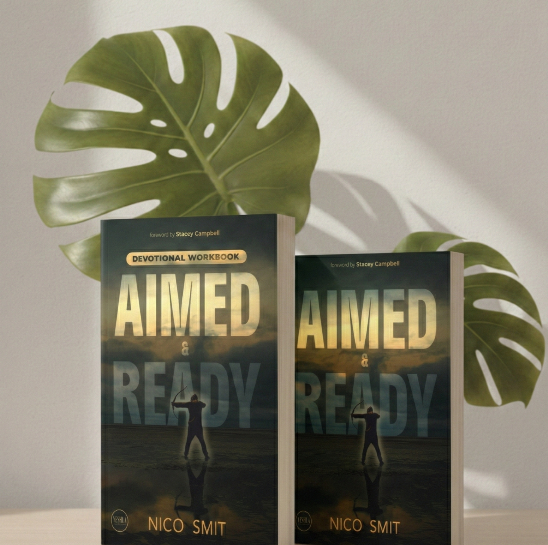 Aimed + Ready Book + Devotional BUNDLE