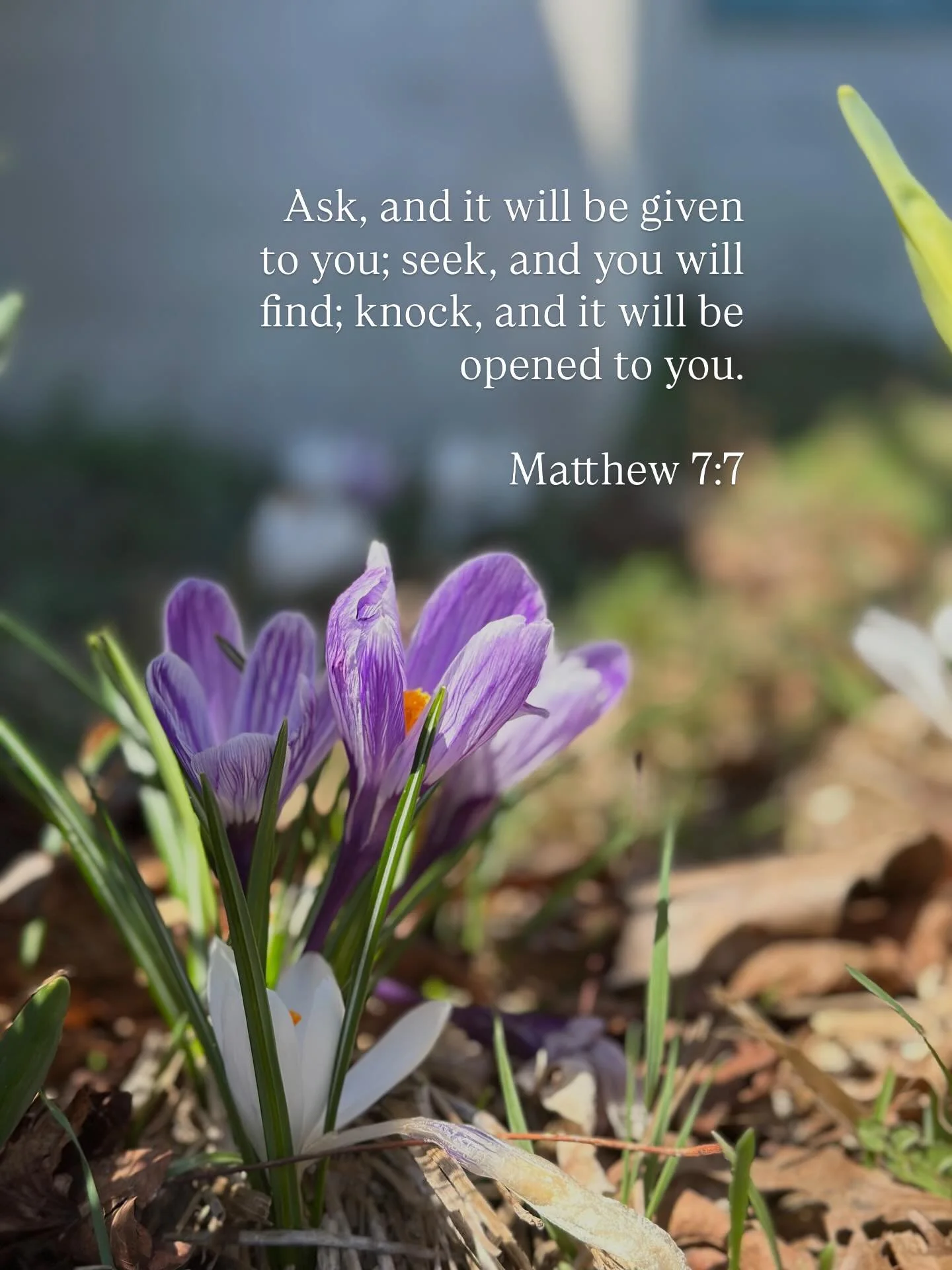Just like this bloom didn&rsquo;t force its way open &mdash; prayer is an act of trust. Of waiting. Of believing something is growing even when you can&rsquo;t see it yet.

Join us this coming week for our Week of Prayer presented by our guest speake