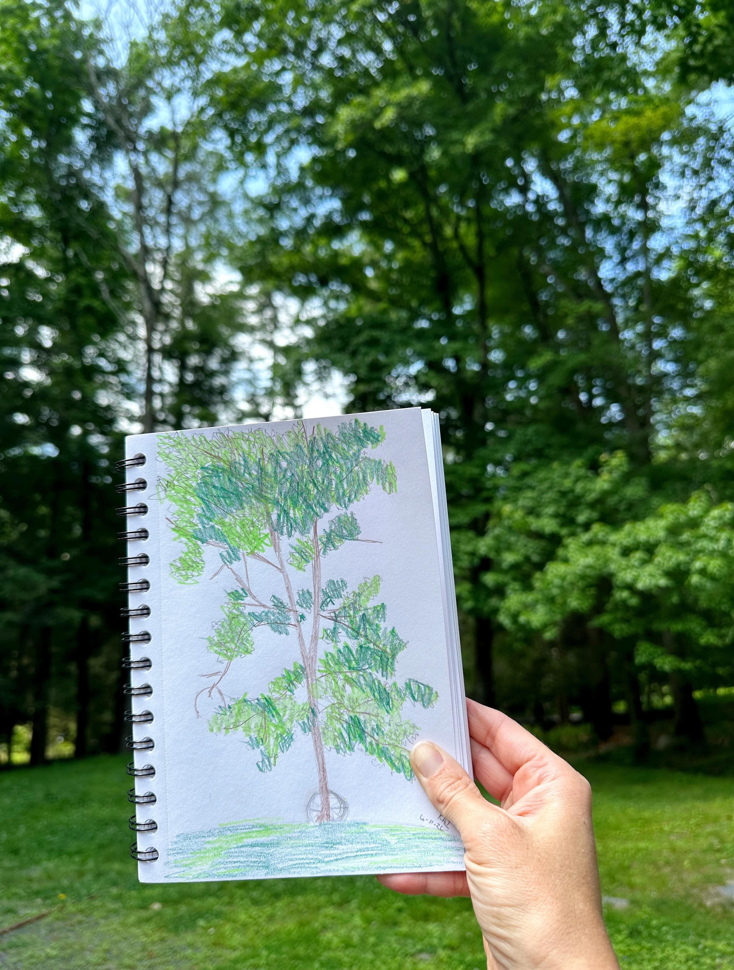 I have felt the pull to make. I know very little about drawing and have always been super impatient with trying. But it&rsquo;s something I know I need to do. Today I drew, felt impatient the whole time, but instead of looking at the whole picture I 