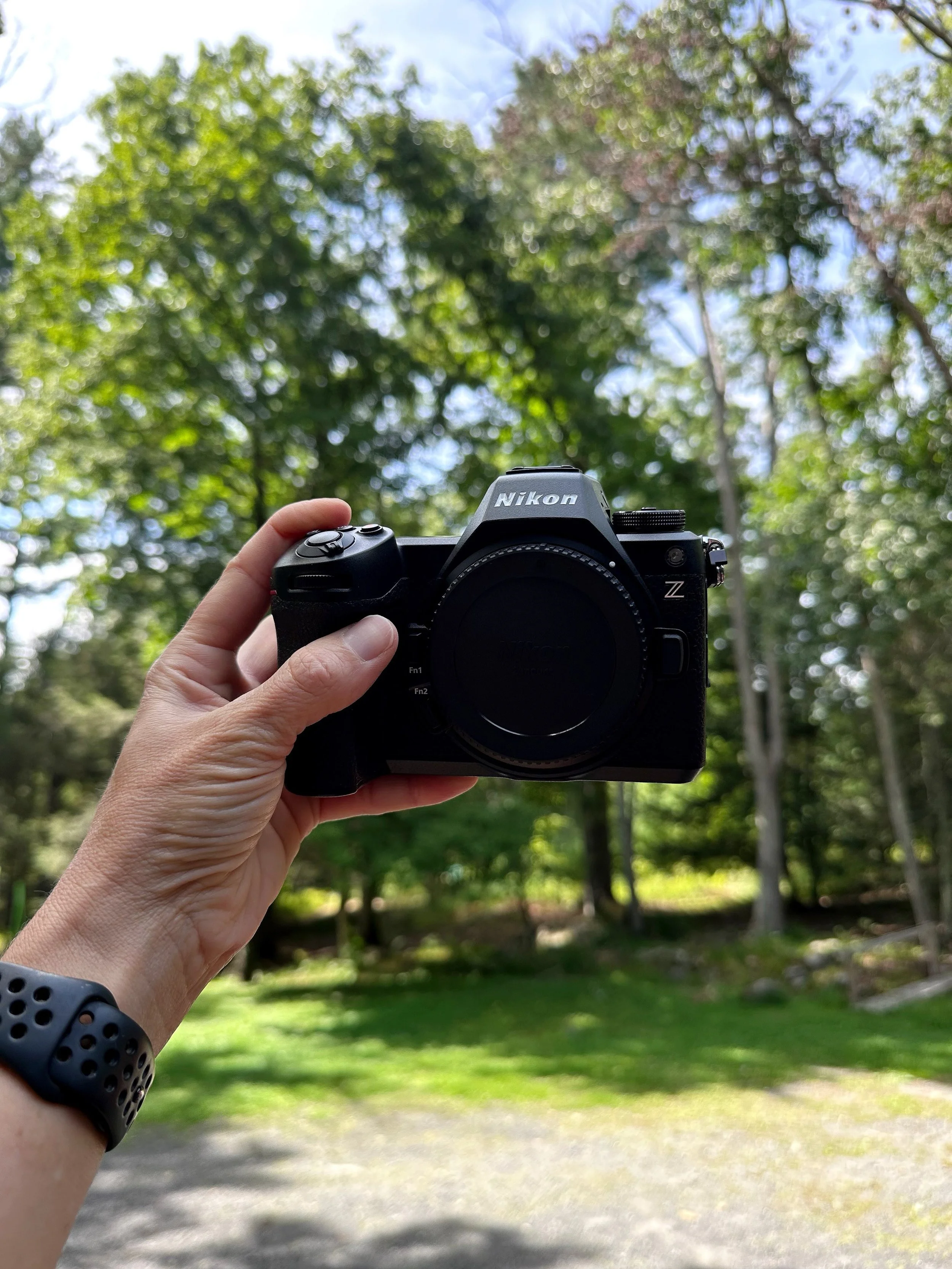 20 years ago at this time of year I purchased my first ever dSLR. It was the beginning of something serious. I had been dabbling in photography for a while but this is when the learning curve changed. 

This year I decided it was time to finally get 