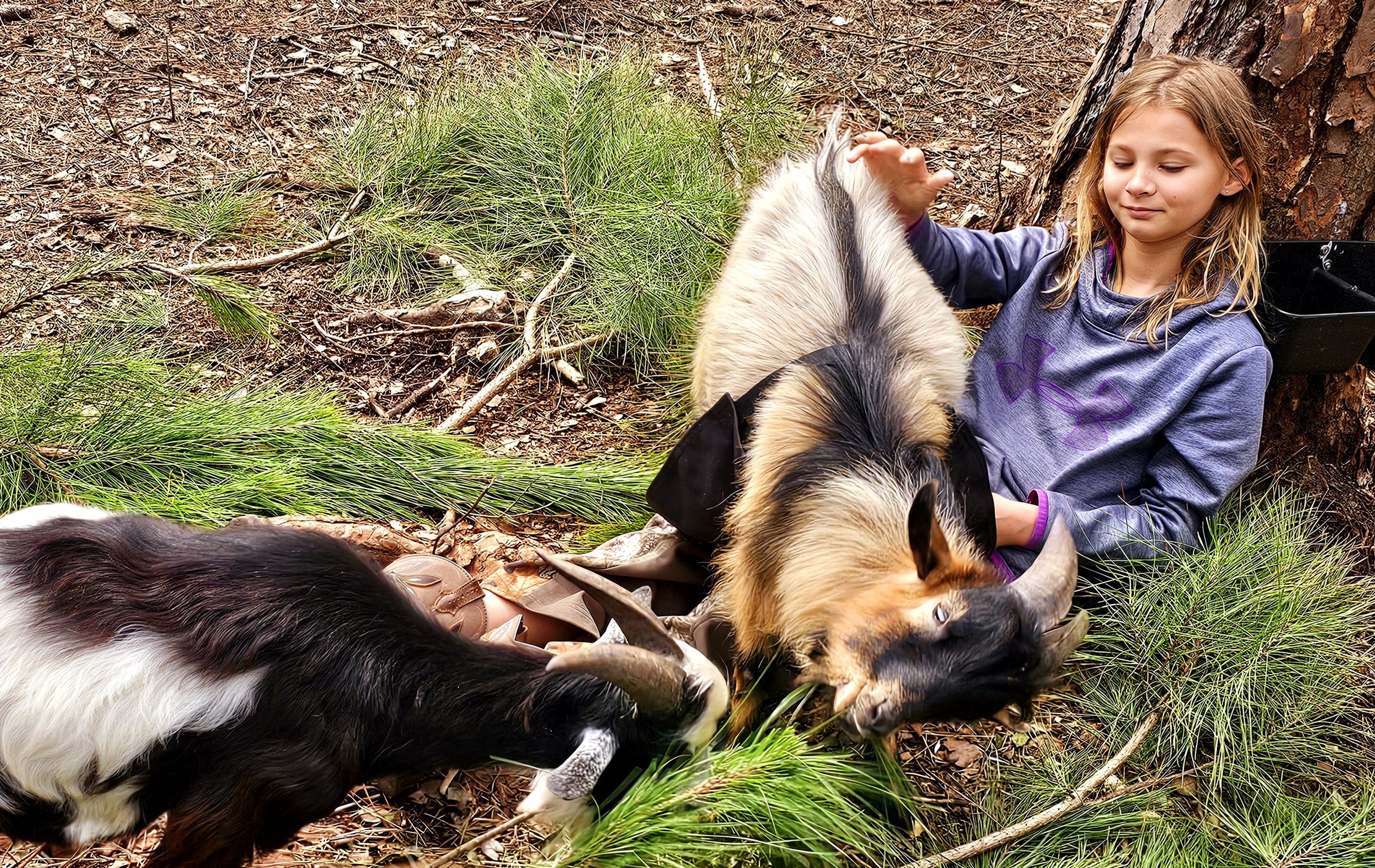 Goat Cuddles.jpg