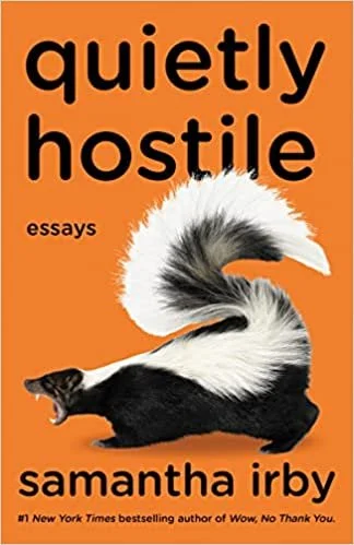 Quietly Hostile: Essays (Paperback)