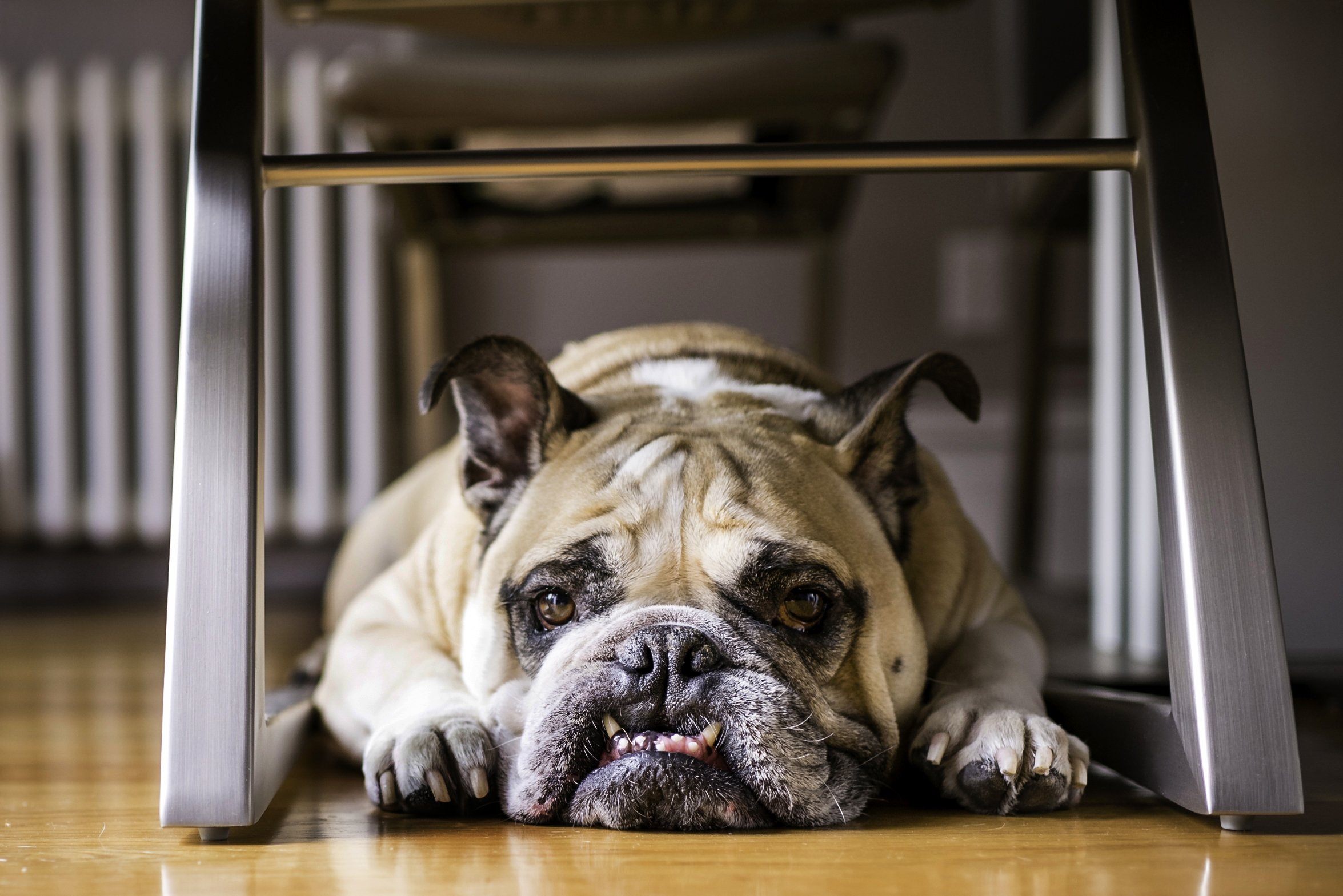 Meredith Zinner Photography 110.jpg