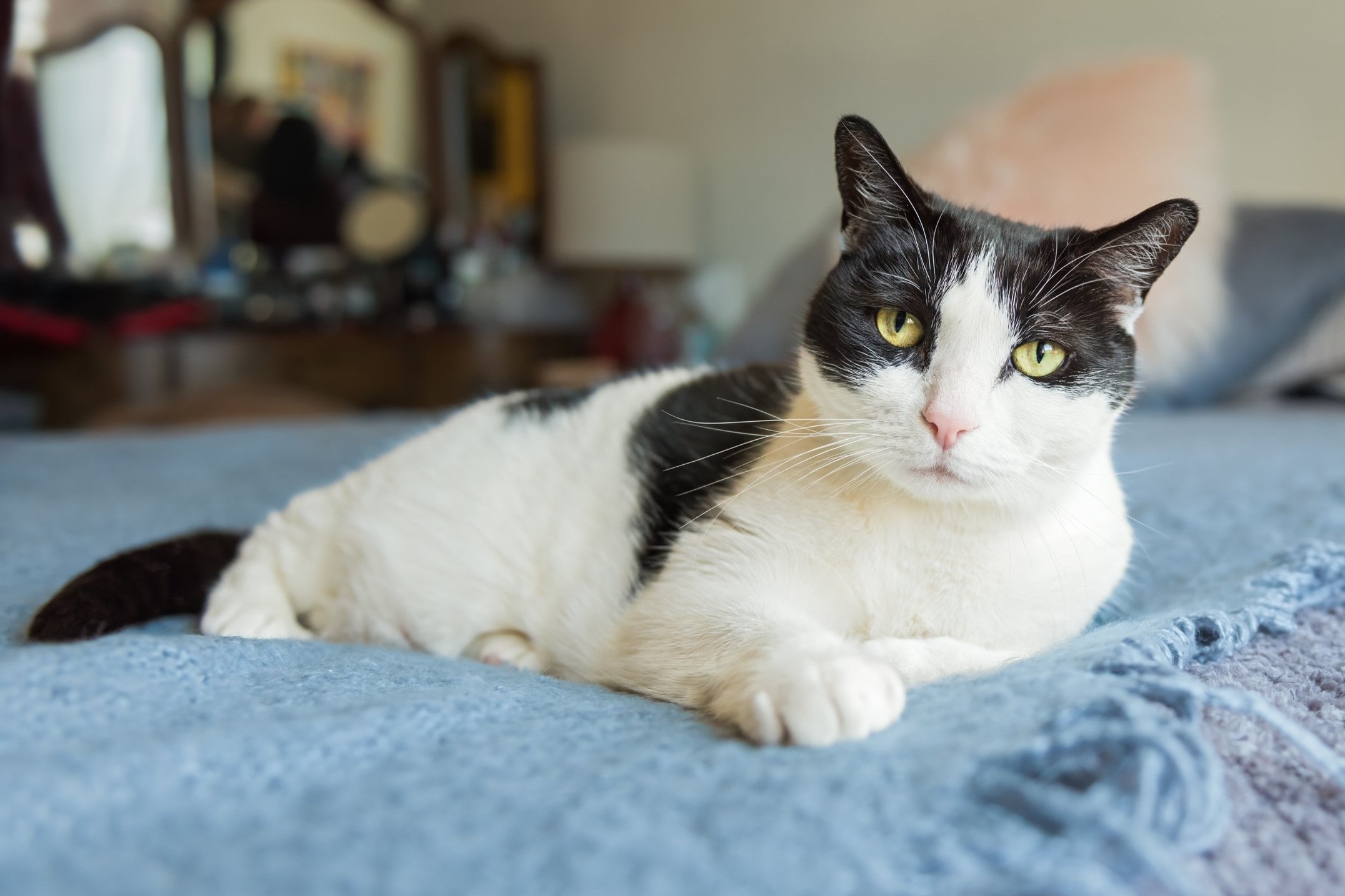 Meredith_Zinner_Photography_Lombardo_0054-Edit+copy.jpg