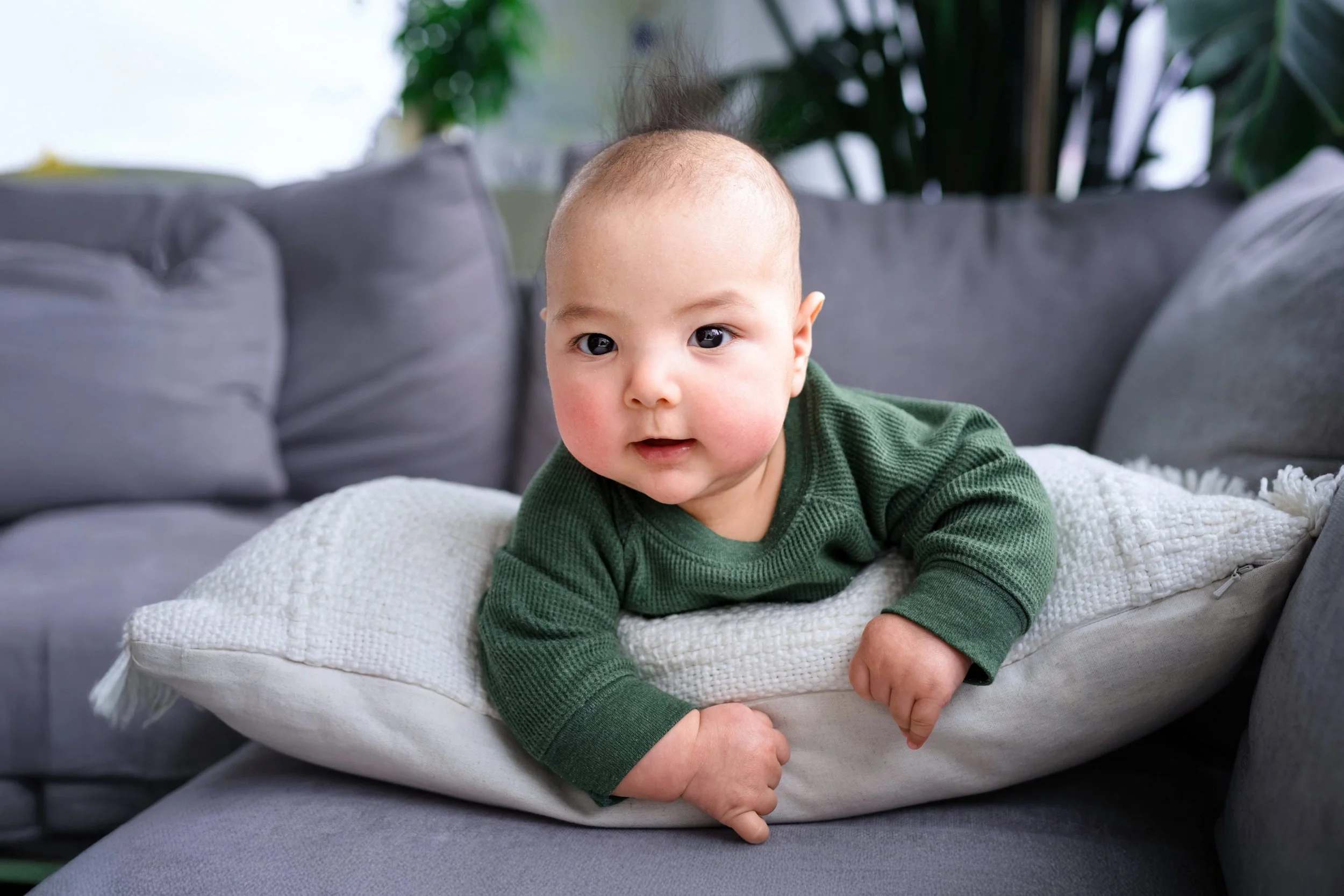 A baby with a shaved head lying on a white textured pillow on a gray sofa, wearing a green long-sleeve shirt, in a room with green plants in the background.