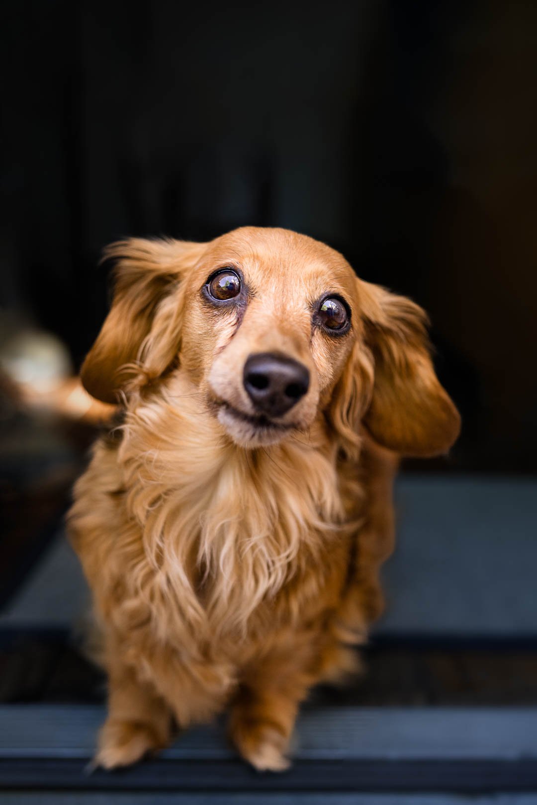 202405-Meredith-Zinner-Photography-Suzi--020.jpg
