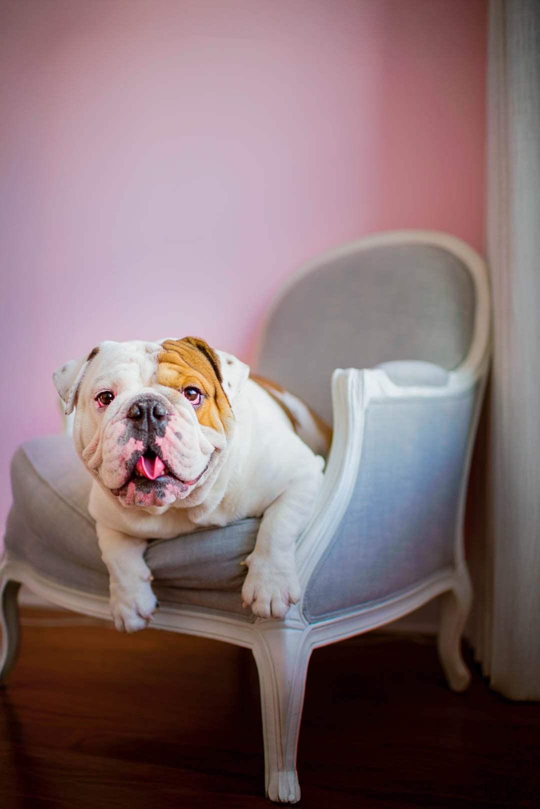 MeredithZinnerPhotography0007-2-Edit.jpg