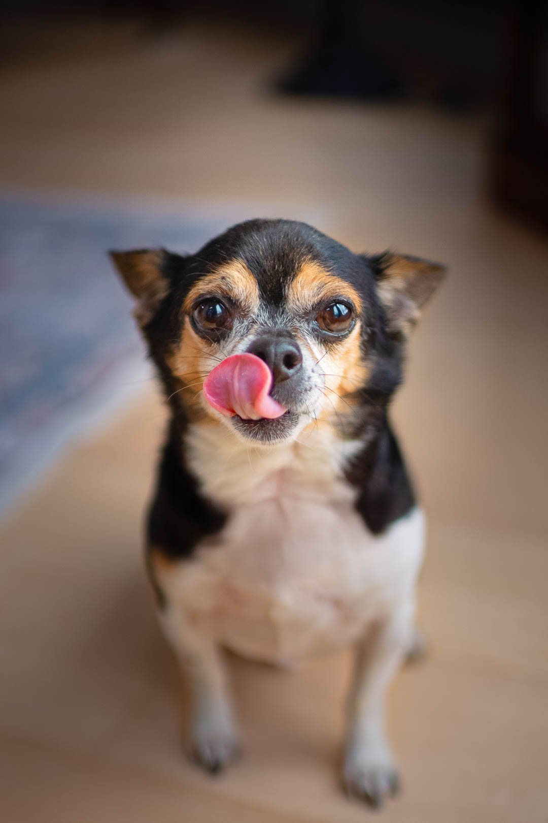 2021-Meredith-Zinner-Photography-Six--078-Edit-2.jpg