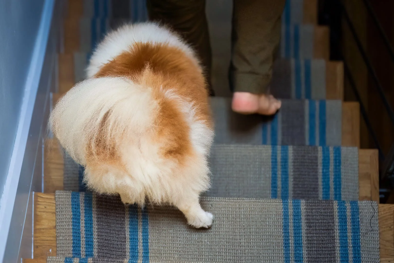 2022 Meredith Zinner Photography-Robinett-103-Edit.jpg