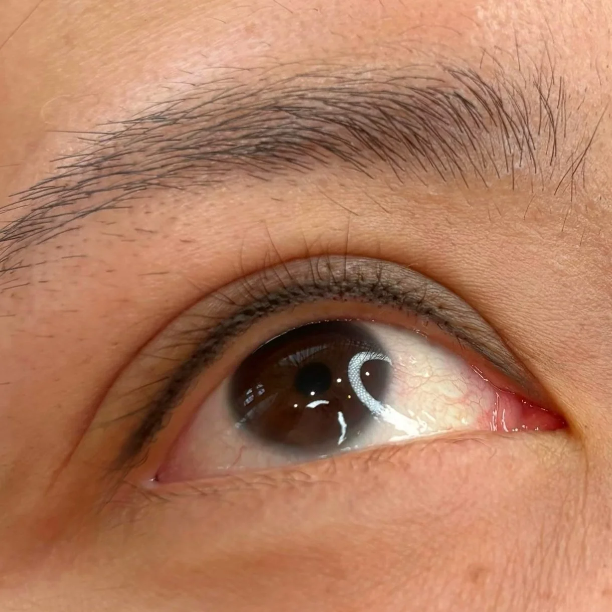 Close-up of a person's eye with detailed view of eyelid, eyelashes, and eyebrow, showing the brown iris and reflections on the cornea.