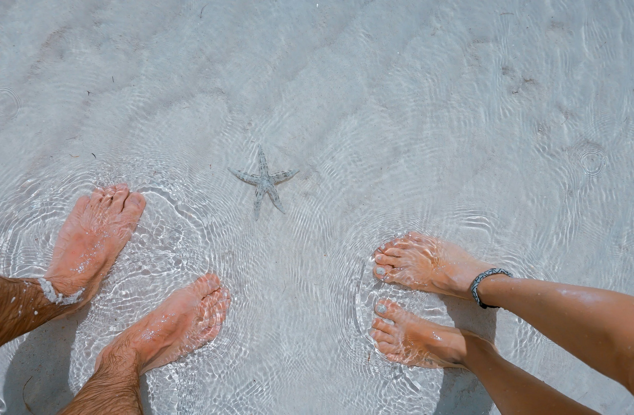 Bare feet and hands making direct contact with water as a grounding or earthing practice to allow electron transfer from the Earth