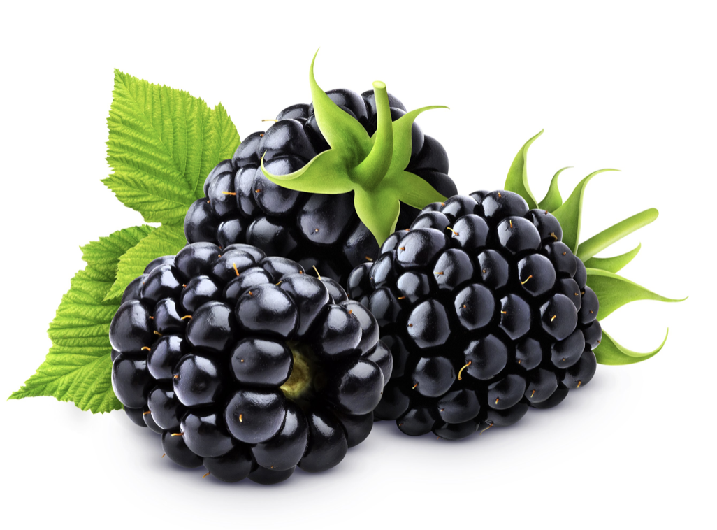 blackberry