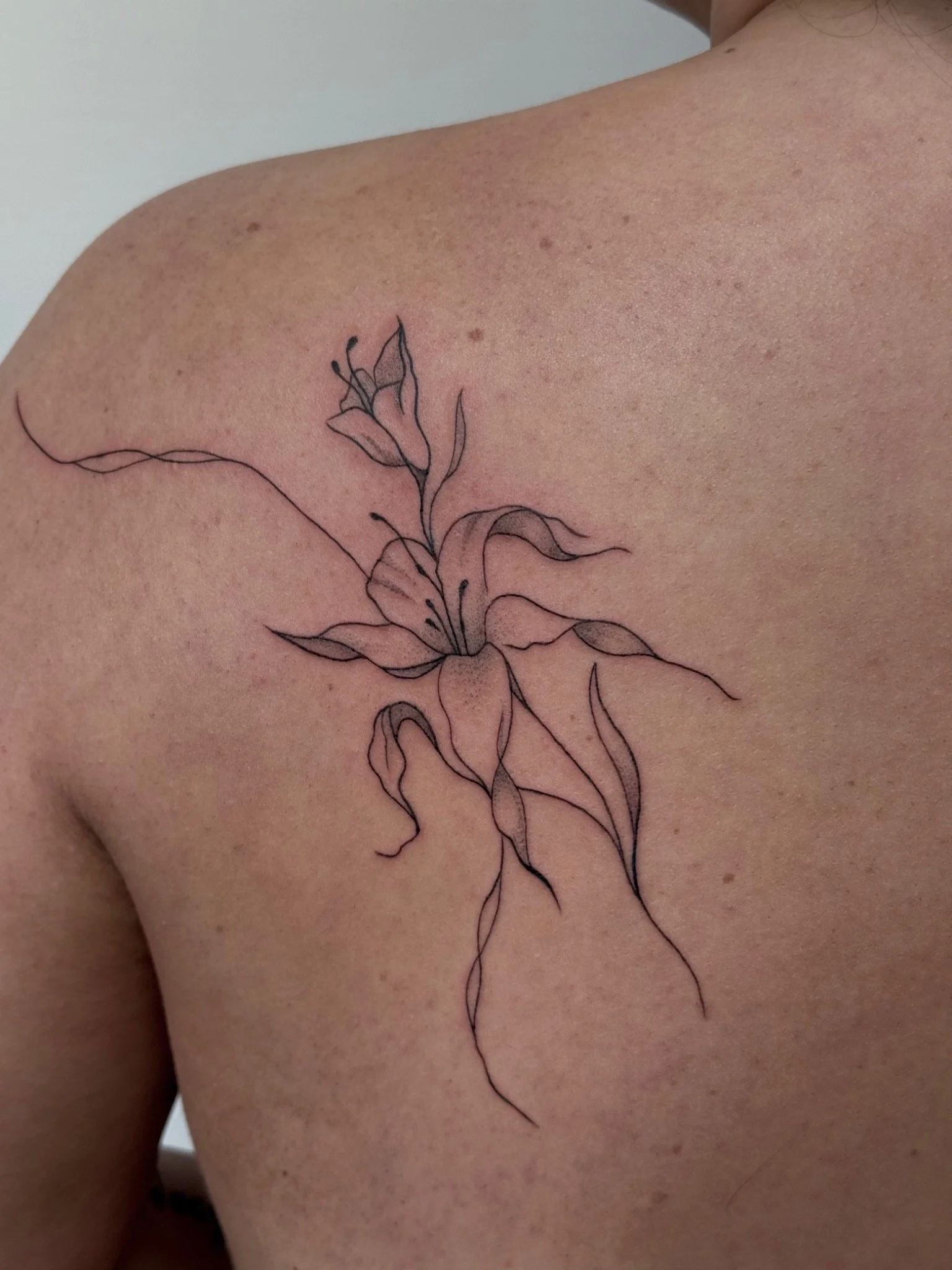 IMG_9541_converted.jpg