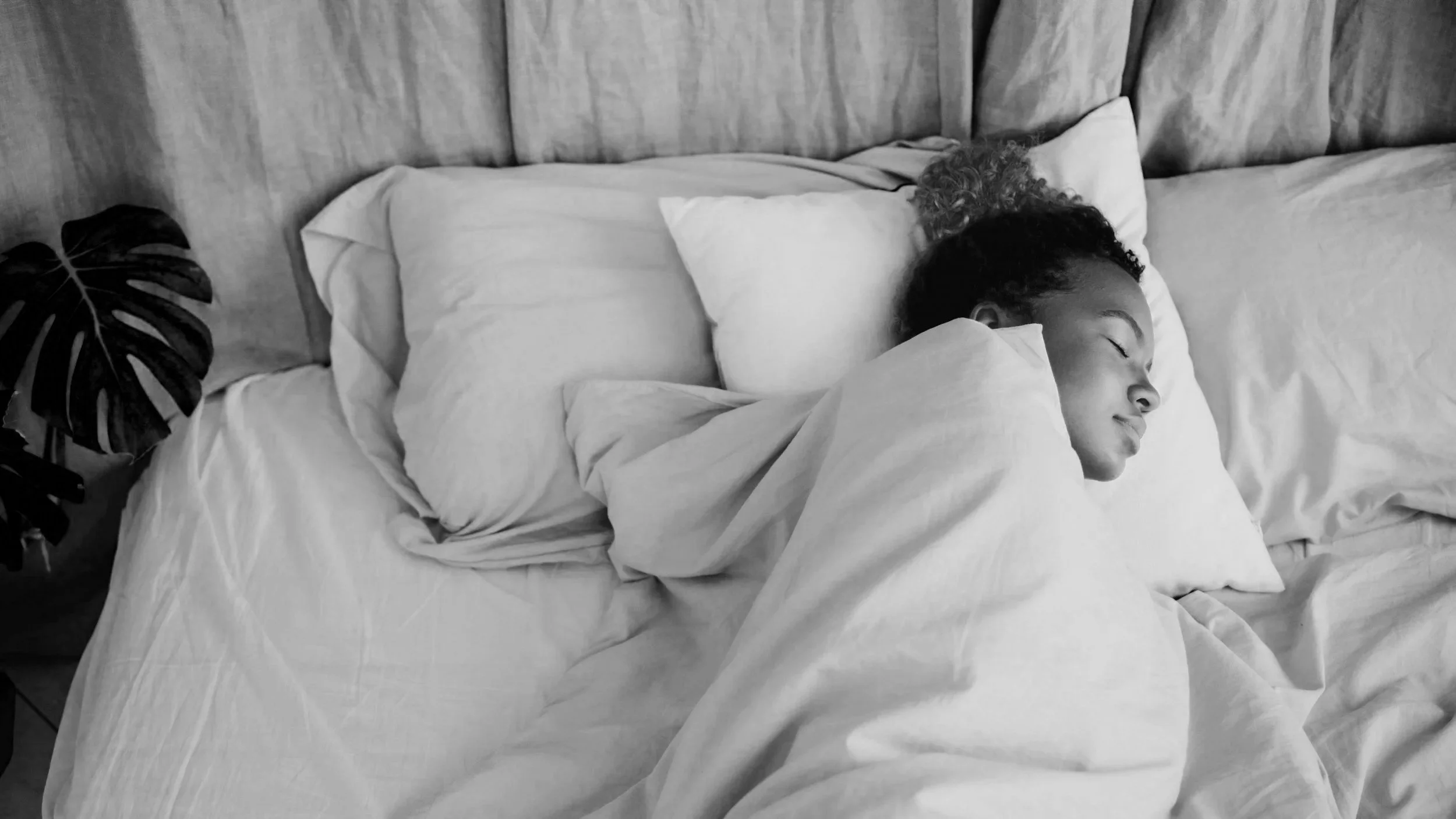 Port Credit in home palliative caregiver and hospice support death doula based in Port Credit Mississauga