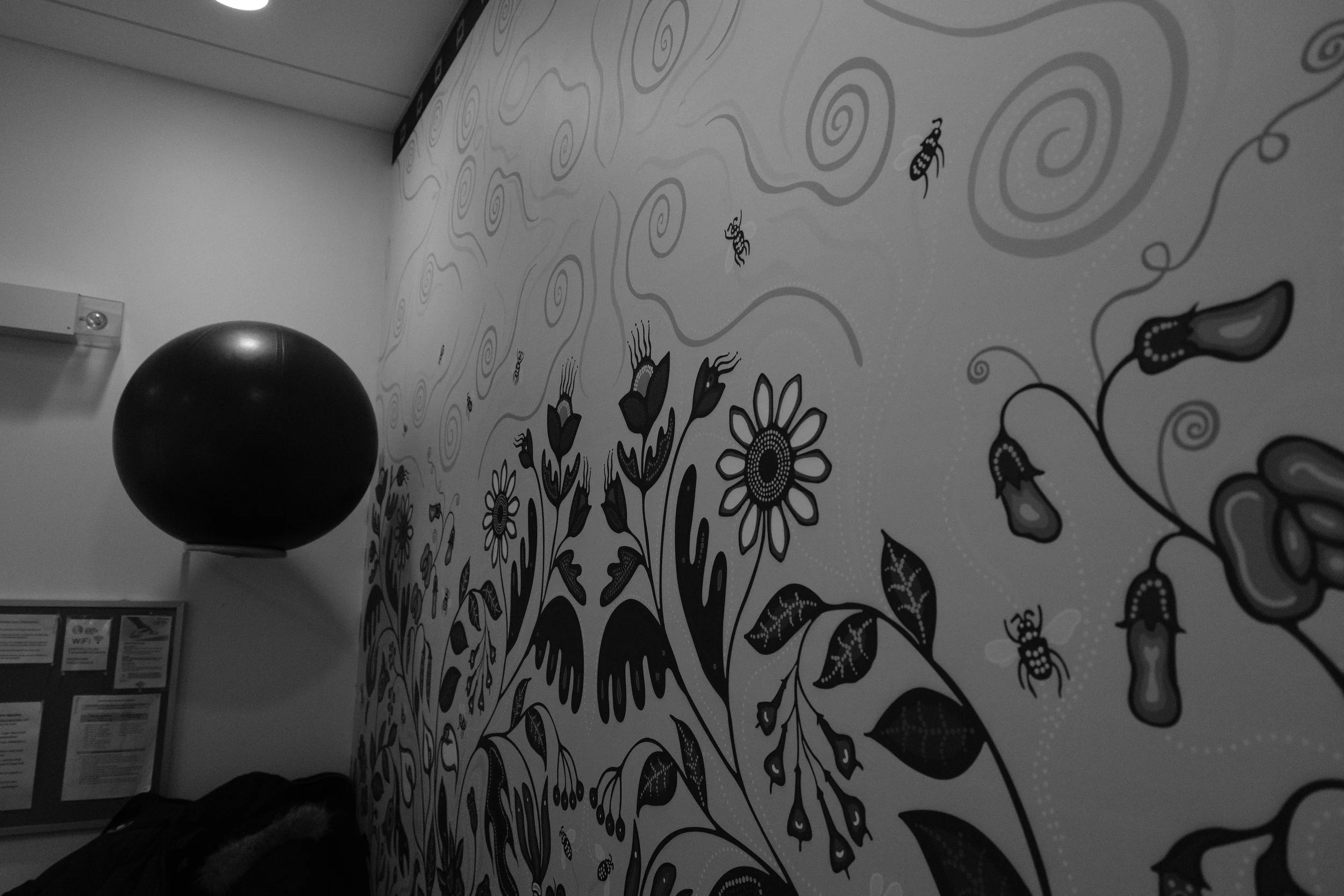 The Toronto Birth Centre has birthing balls