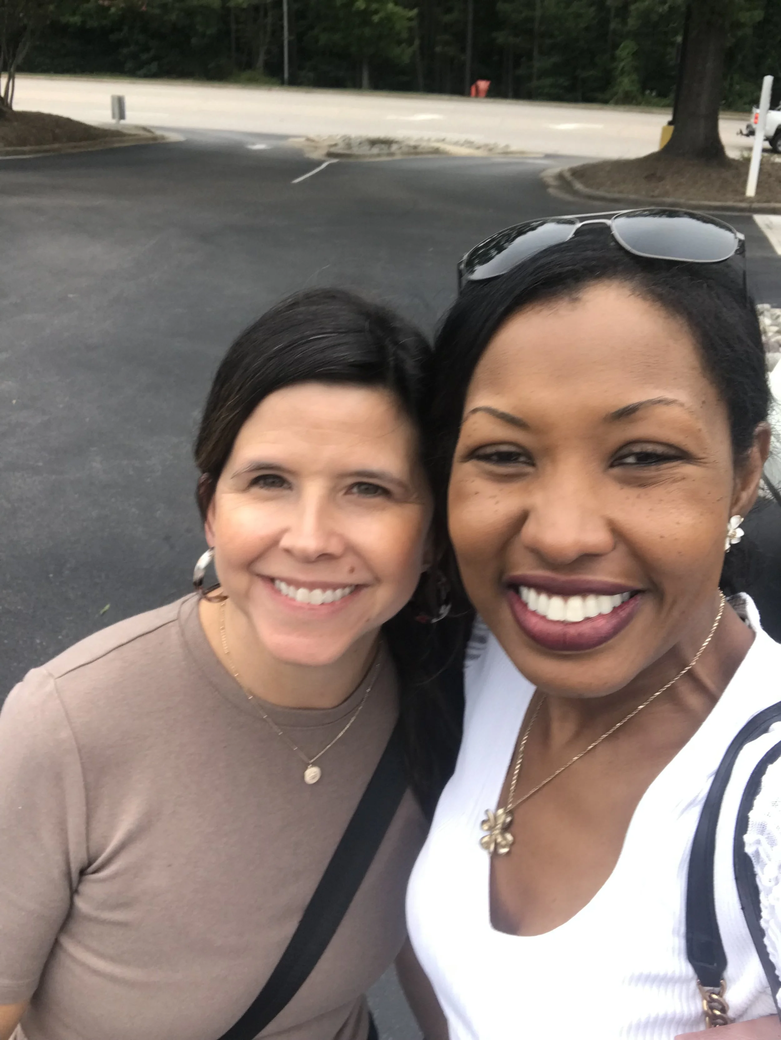 consulting, crisis, nonprofit, interim leadership, executive recruting