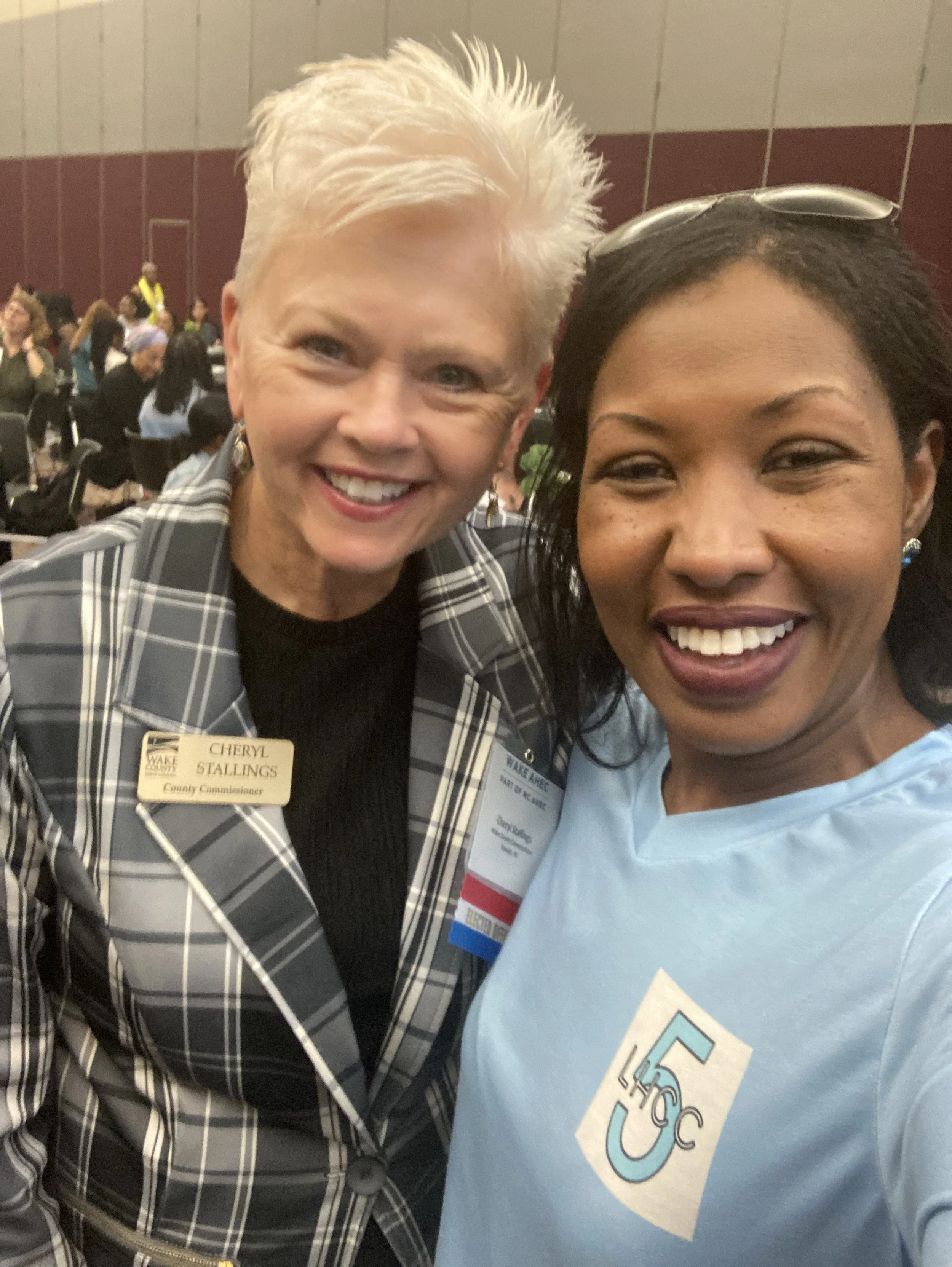 consulting, crisis, nonprofit, interim leadership, executive recruting