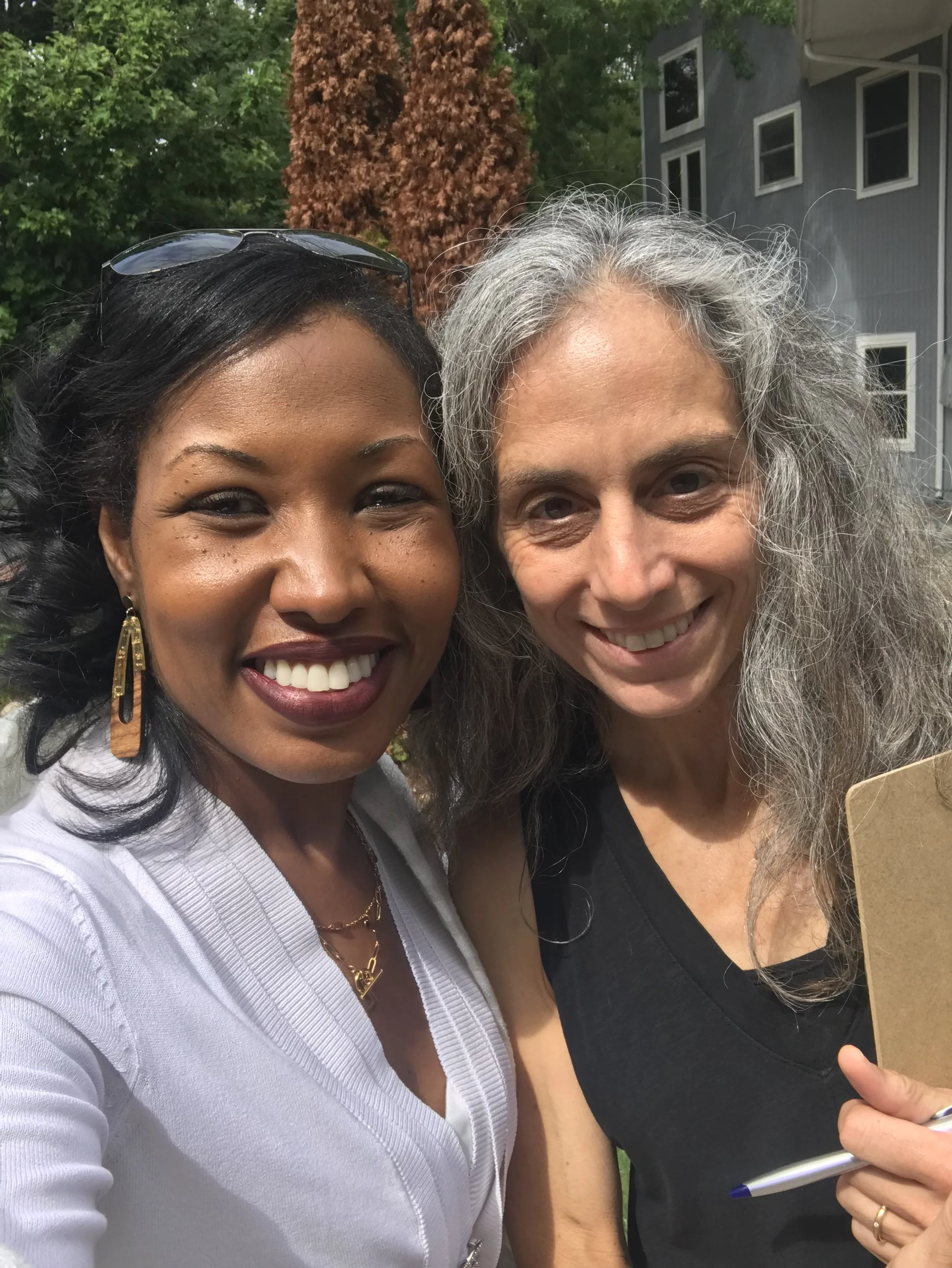 consulting, crisis, nonprofit, interim leadership, executive recruting