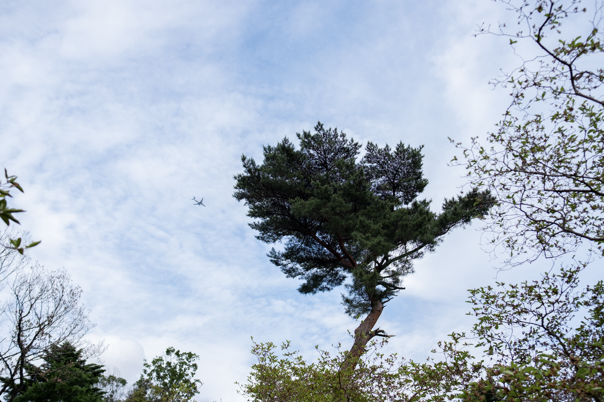 Screenshot 2026-01-09 at 2.13.24 PM.png