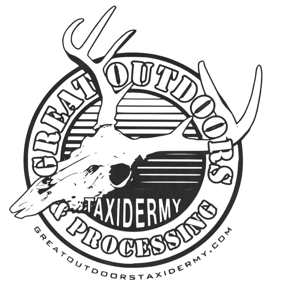 Great Outdoors Taxidermy