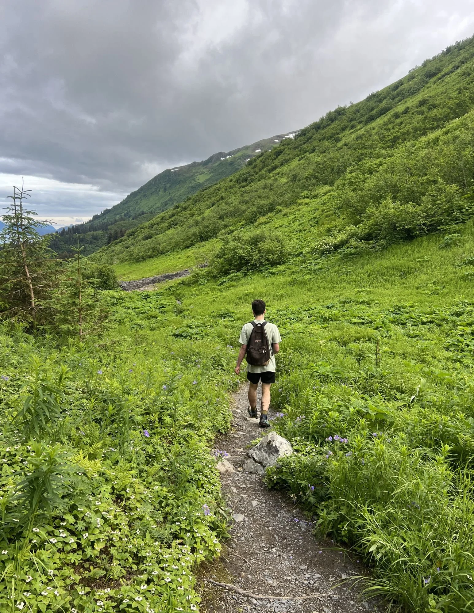 Custom guided hiking tours in Alaska