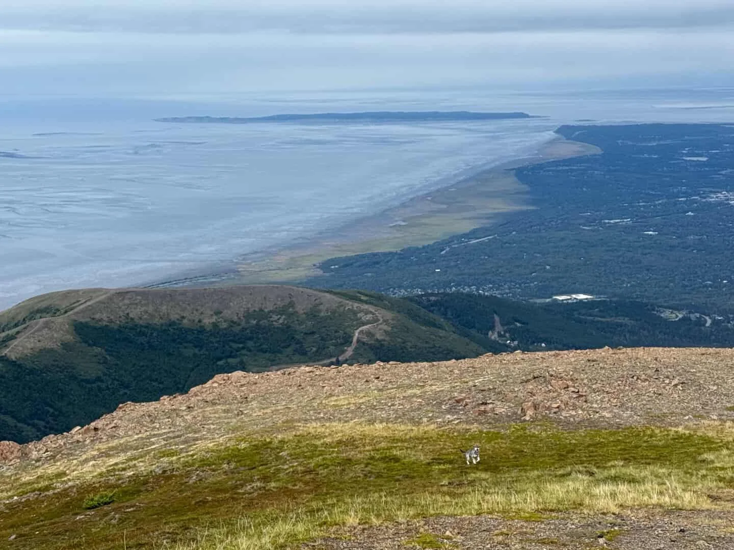 Scenic view of Grandview Peak in Alaska, featuring rugged mountain landscapes, alpine terrain, and breathtaking wilderness scenery.