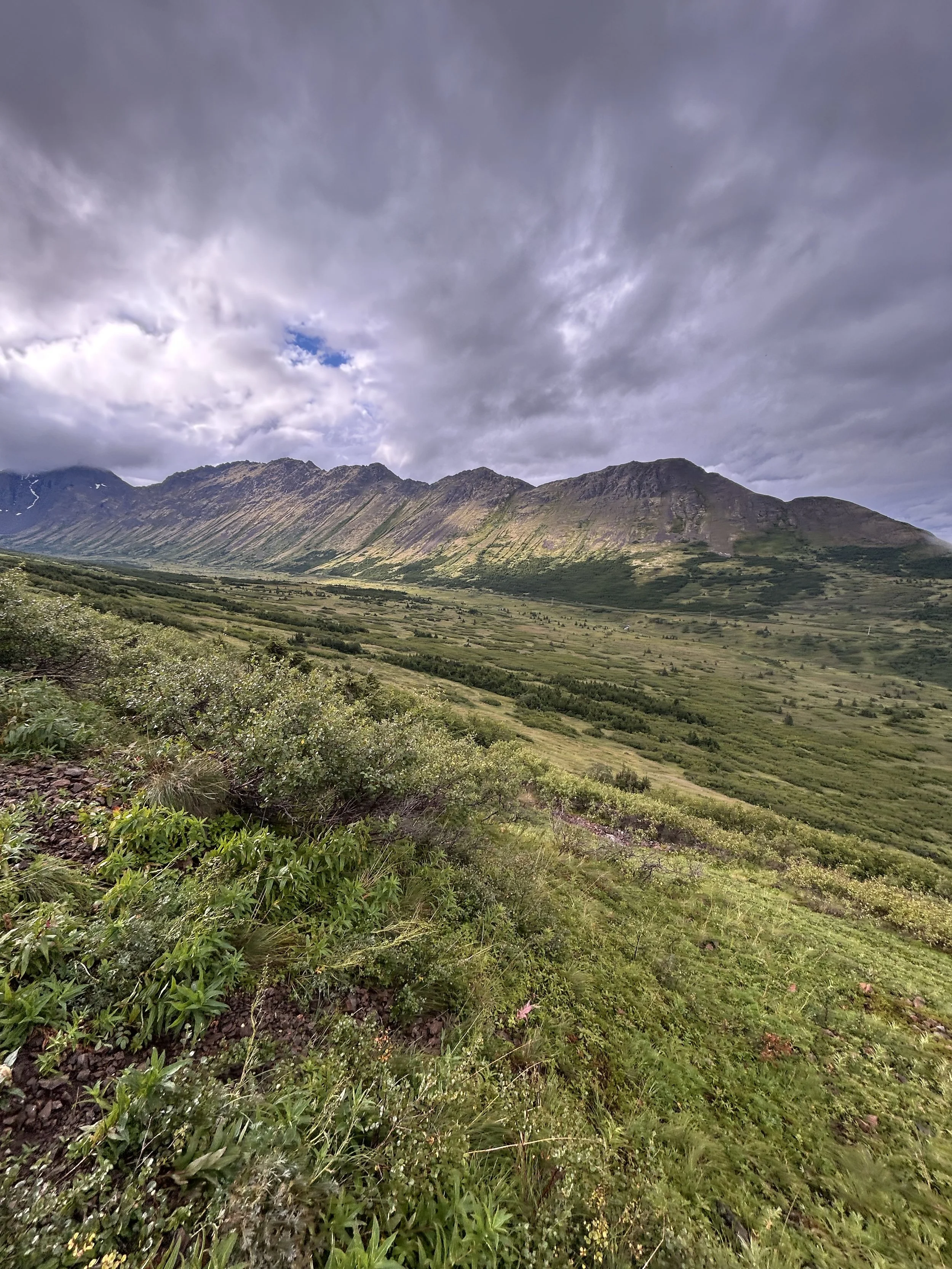 Little O’Malley Peak near Anchorage, Alaska, showcases dramatic alpine terrain, expansive mountain vistas, and breathtaking views within Chugach State Park.