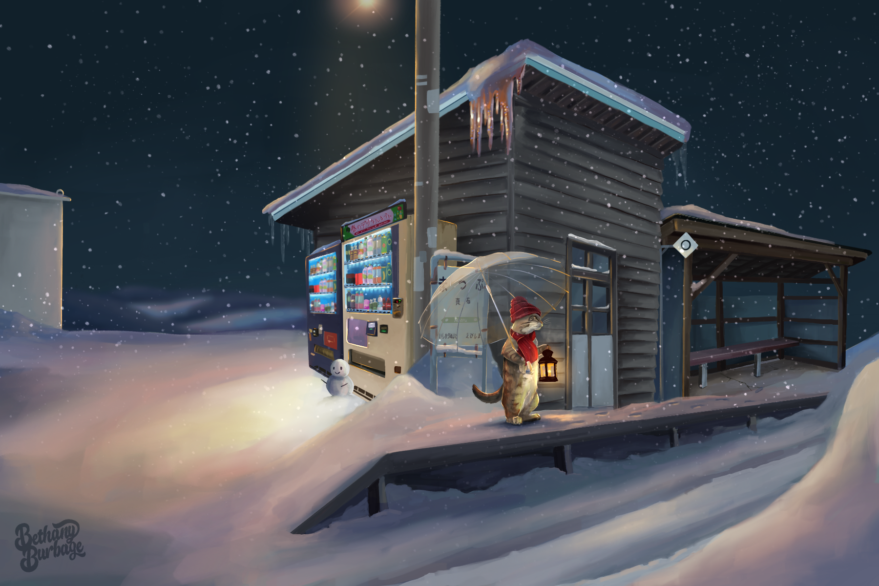 Winter at Mappu Station