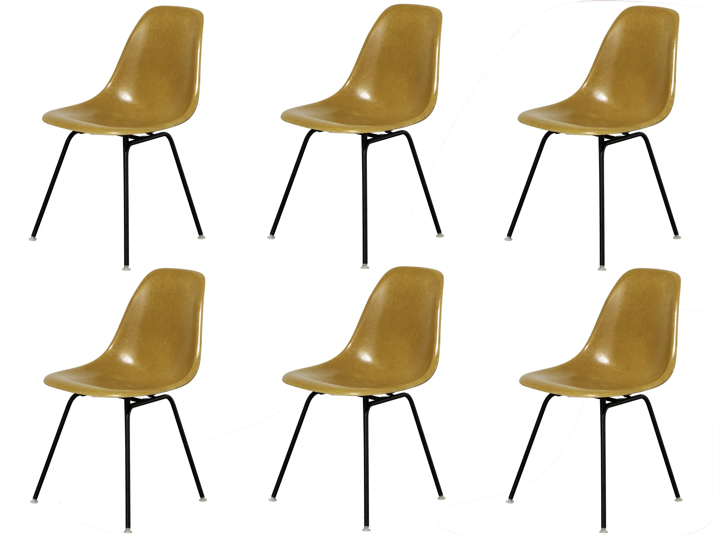 Shells-Grid-Ochre-Black.jpg