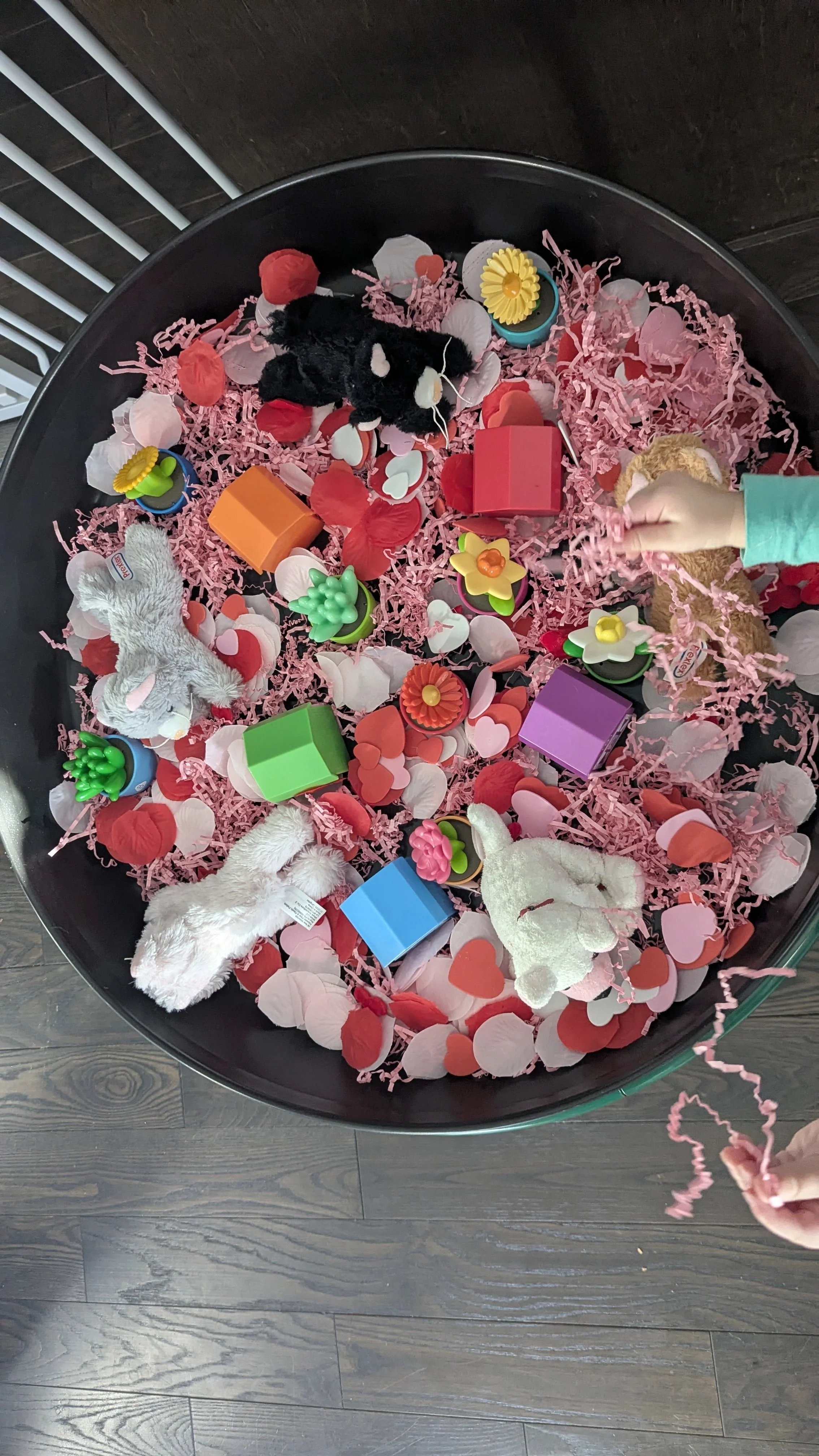 Sensory Table