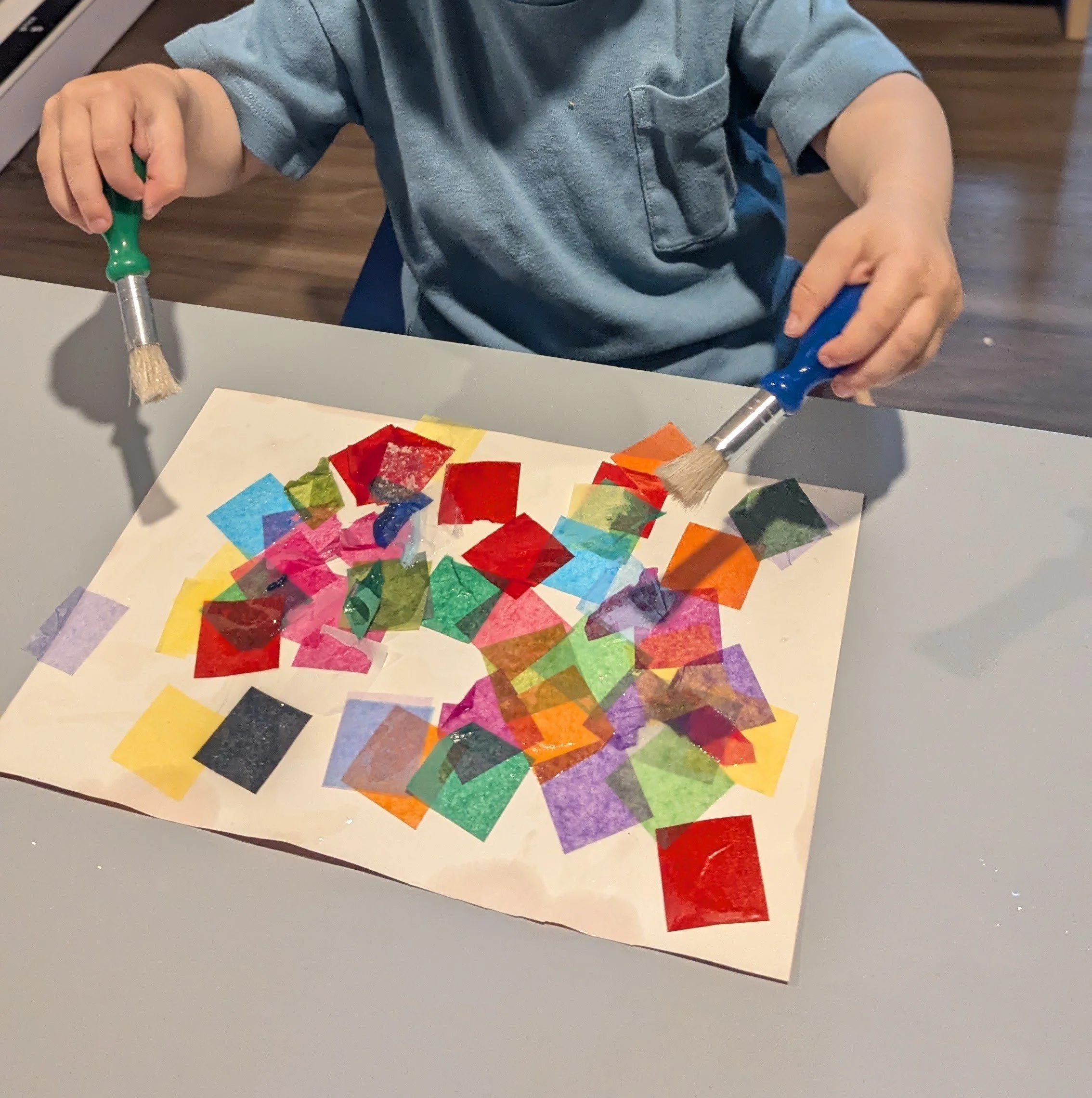 Tissue Collage