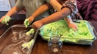 Foal Sensory Activity