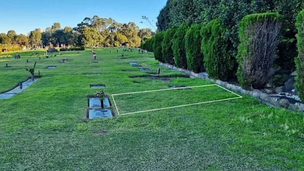 Corymbia Grove – Plot 24